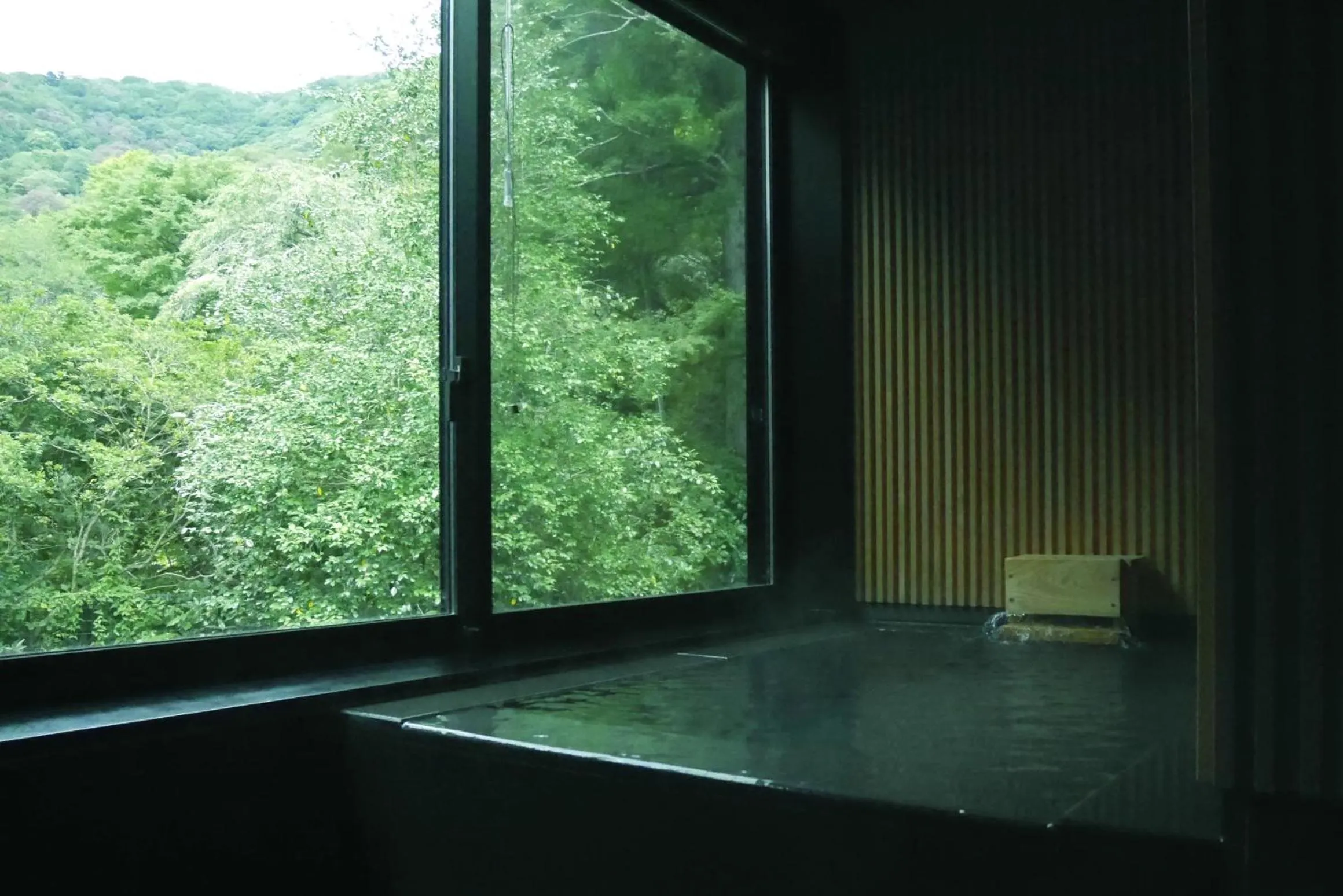 Hot Spring Bath in Boscage Kariya