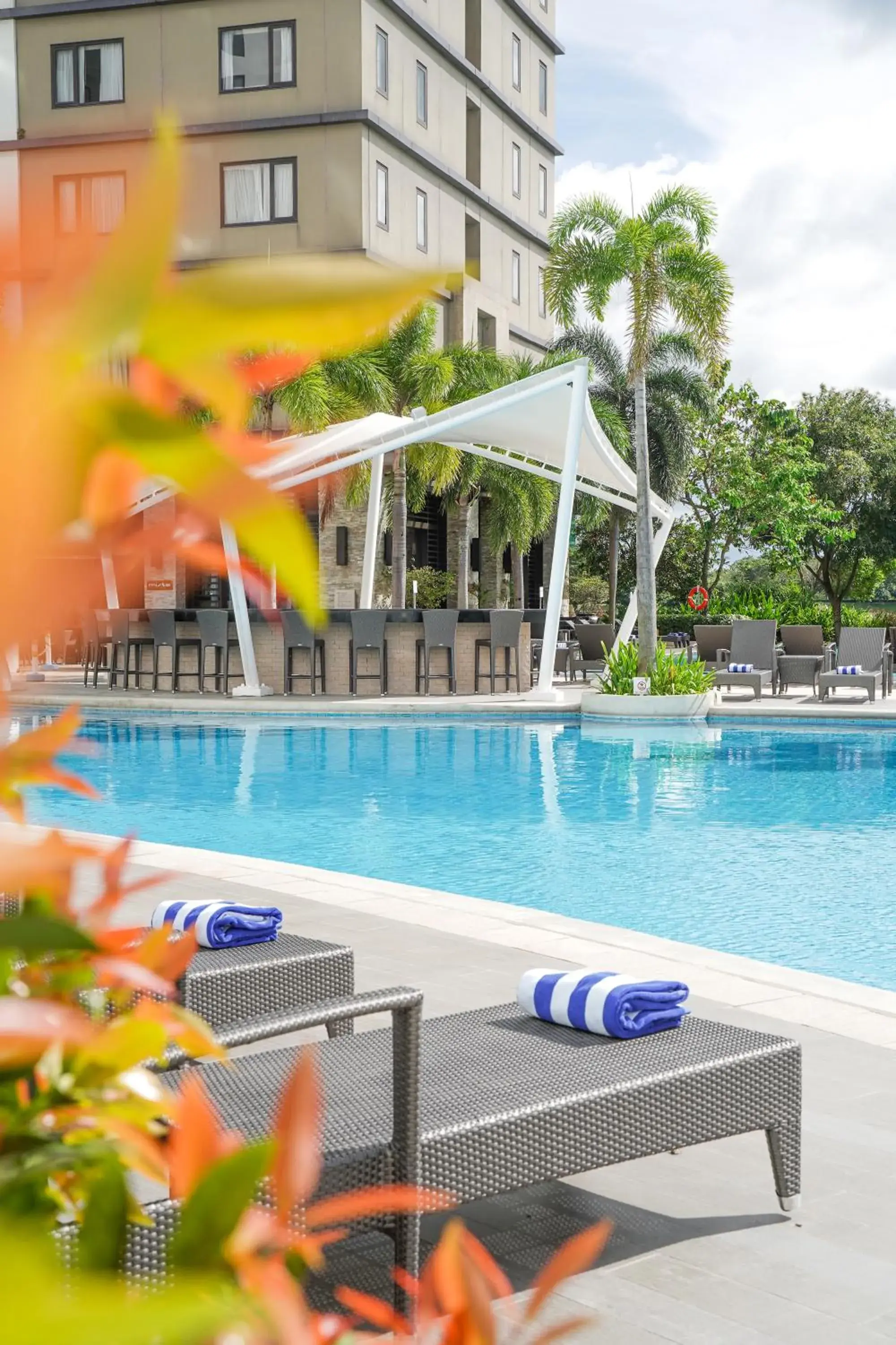 Pool view in Seda Nuvali Pool view in Seda Nuvali