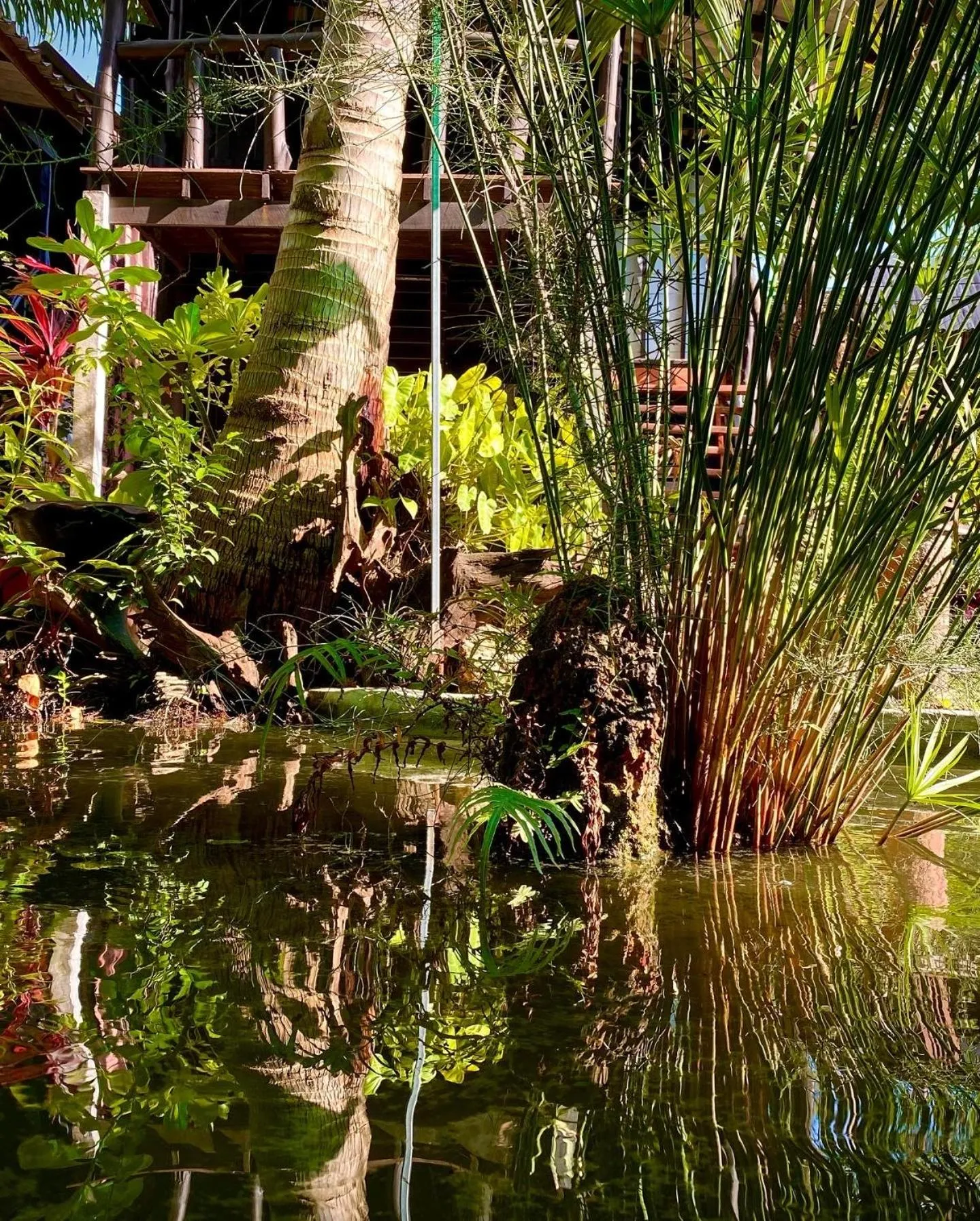 Leaf House Bungalows SHA PLUS approved