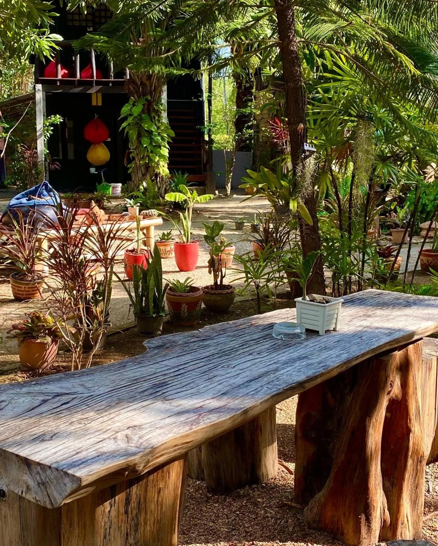 Property building in Leaf House Bungalows SHA PLUS approved