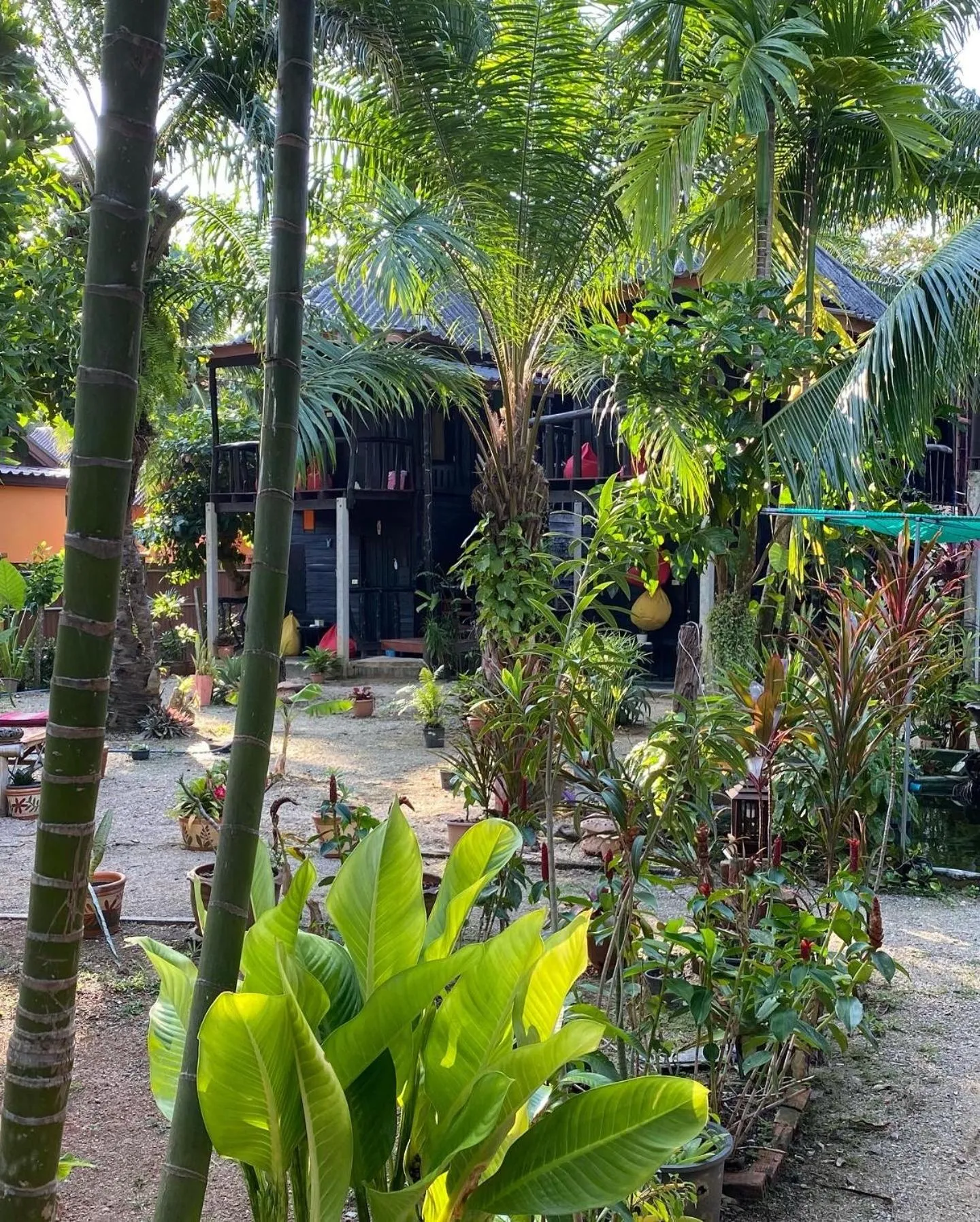 Facade/entrance in Leaf House Bungalows SHA PLUS approved