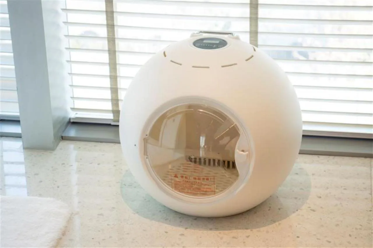 Pets in Hyatt Centric Gaoxin Xi'An