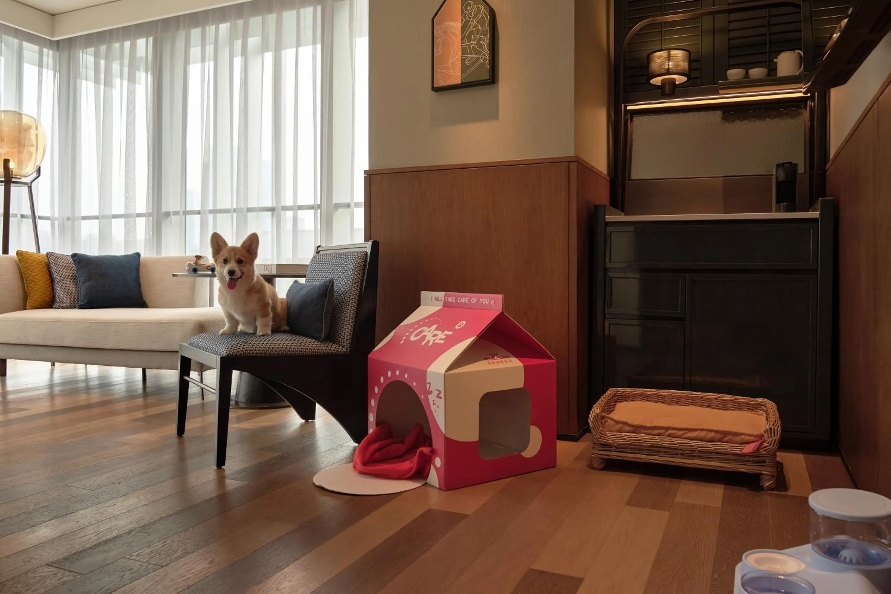pet friendly in Hyatt Centric Gaoxin Xi'An
