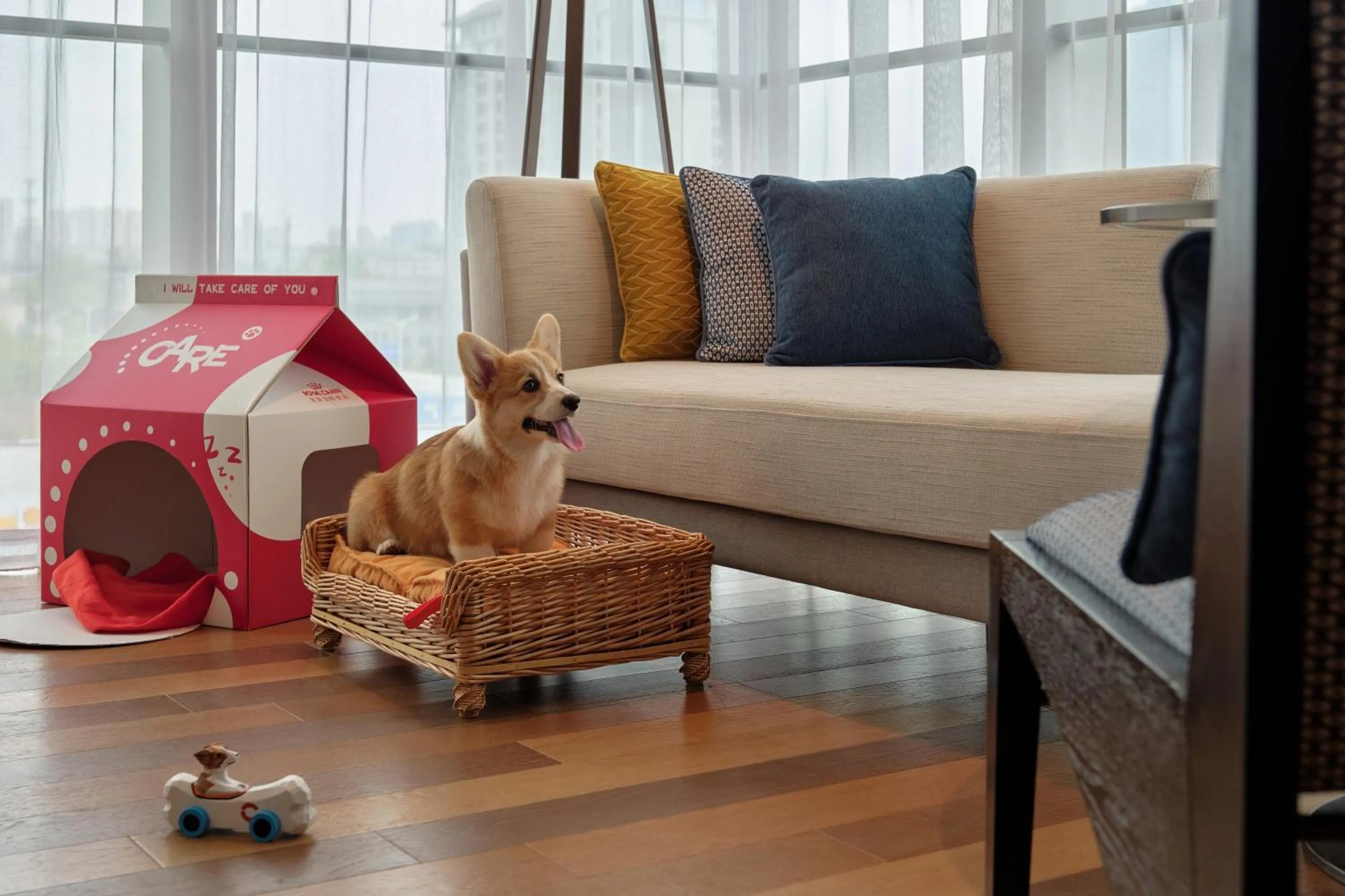 pet friendly in Hyatt Centric Gaoxin Xi'An