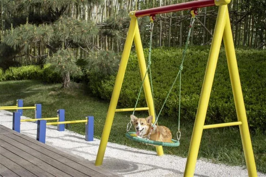 pet friendly in Hyatt Centric Gaoxin Xi'An