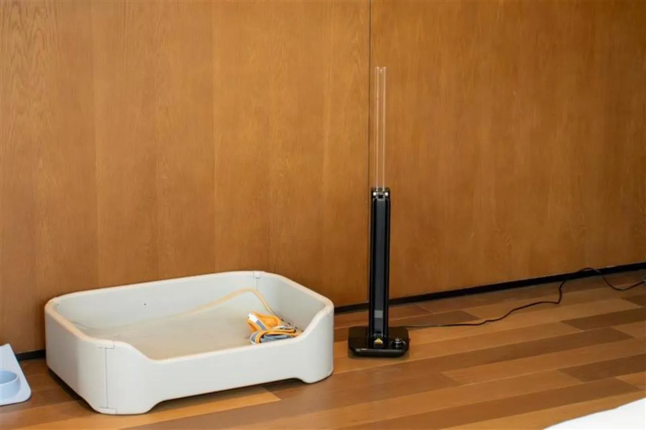 Pets in Hyatt Centric Gaoxin Xi'An