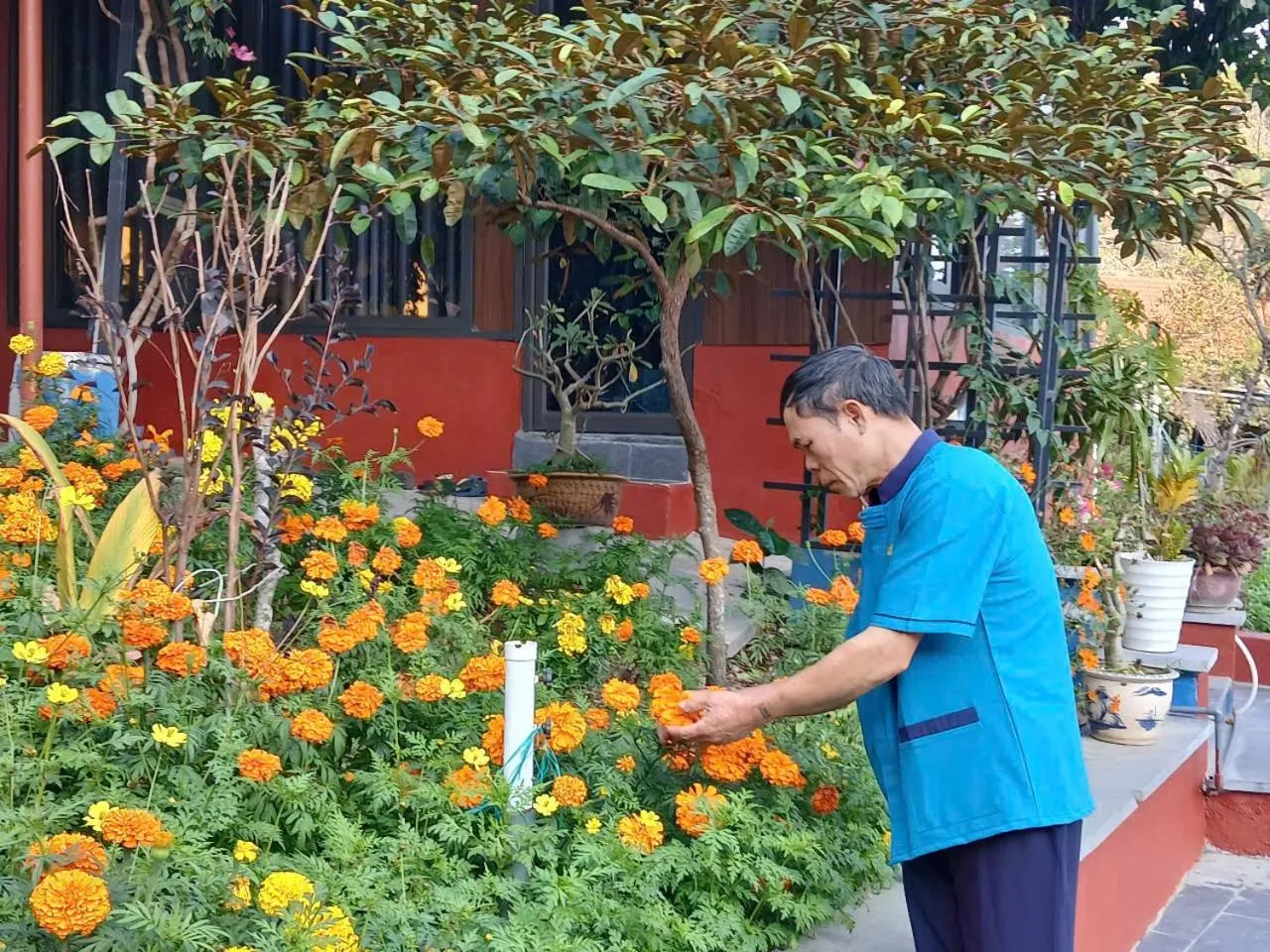 People in Catba Papillon Garden Bungalows & Resort