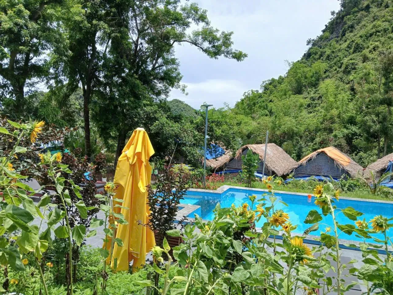 Pool view in Catba Papillon Garden Bungalows & Resort