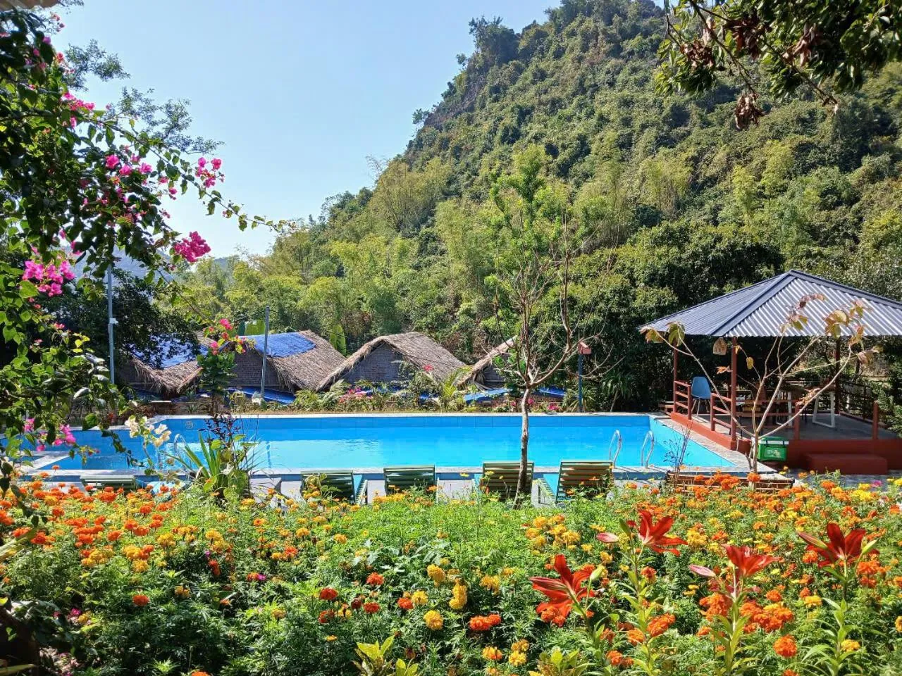 Pool view in Catba Papillon Garden Bungalows & Resort