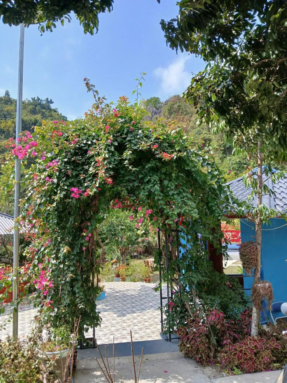 Garden in Catba Papillon Garden Bungalows & Resort