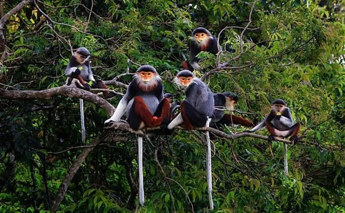 Neighbourhood in Catba Papillon Garden Bungalows & Resort