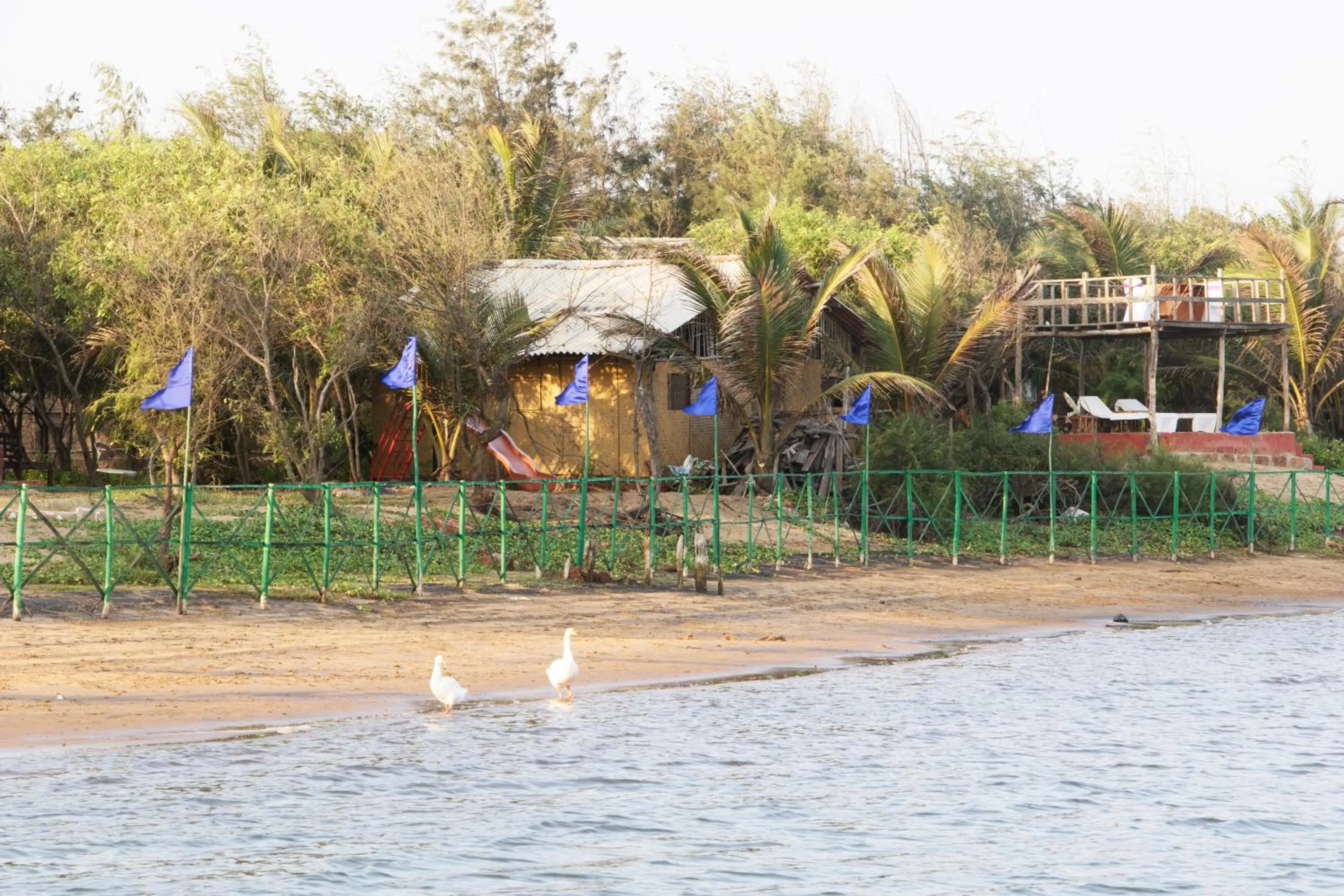 Beach in Lotus an Eco Resort Konark