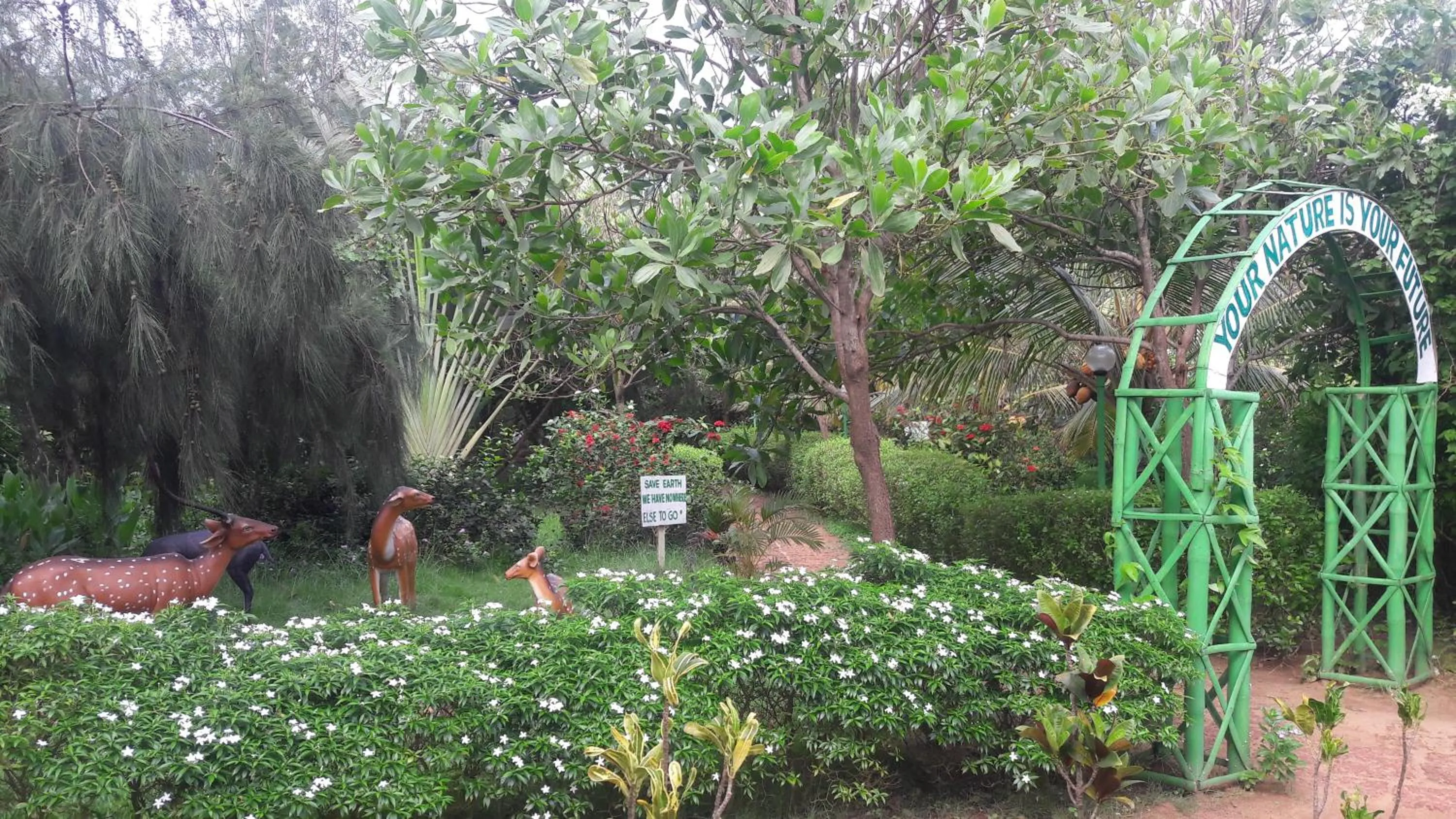 Activities in Lotus an Eco Resort Konark