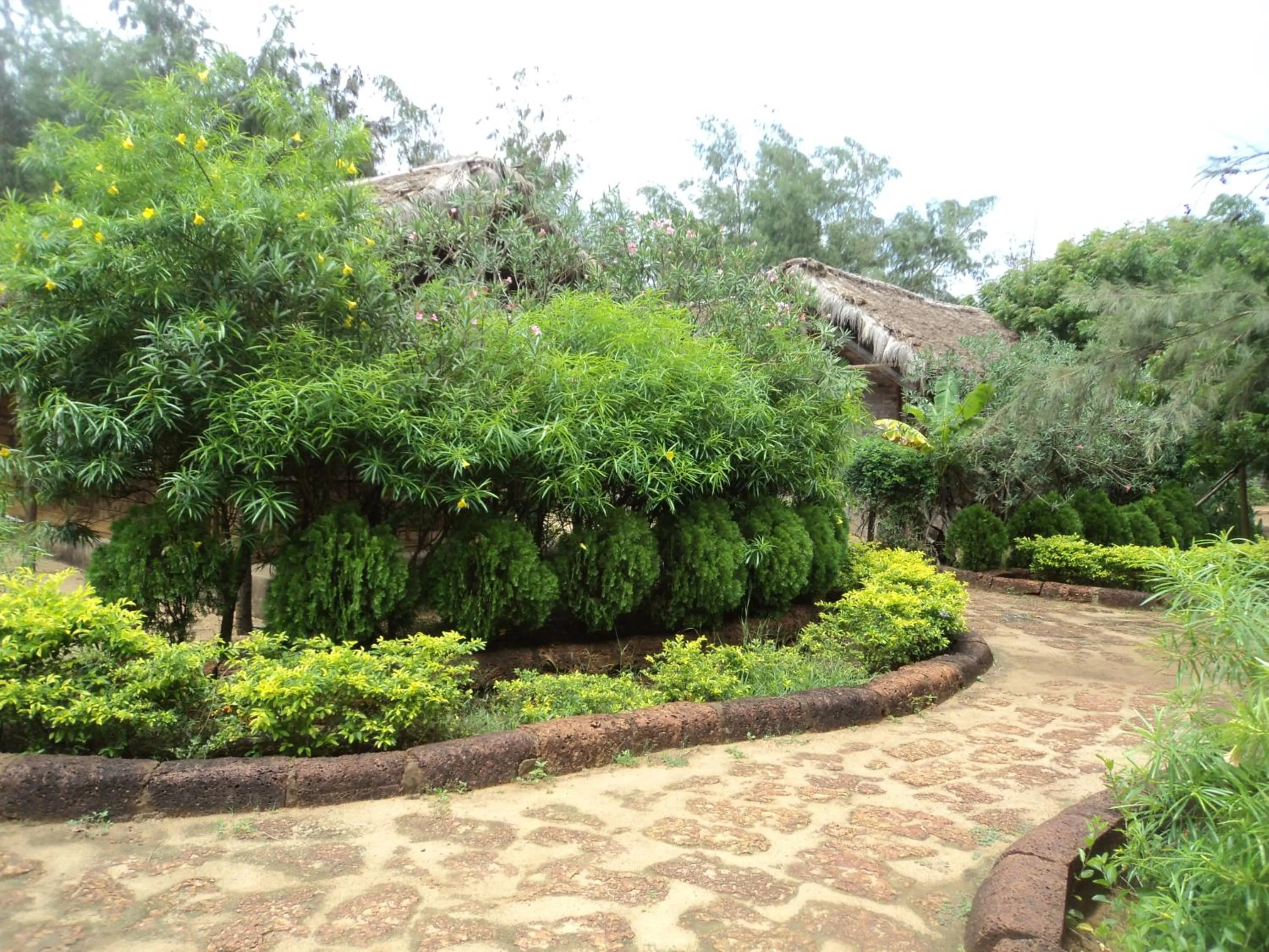 Garden in Lotus an Eco Resort Konark