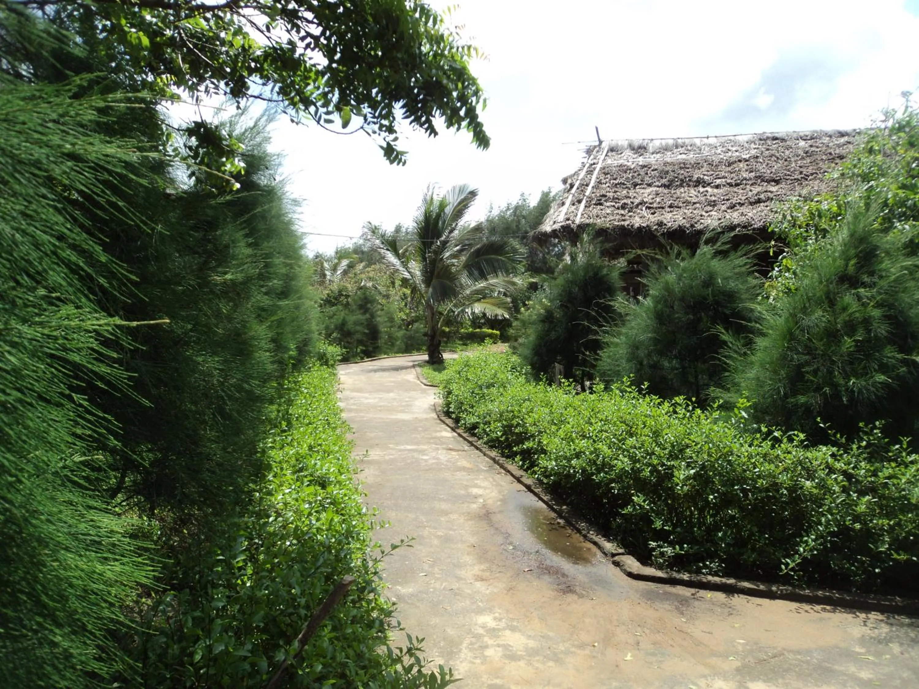 Garden in Lotus an Eco Resort Konark