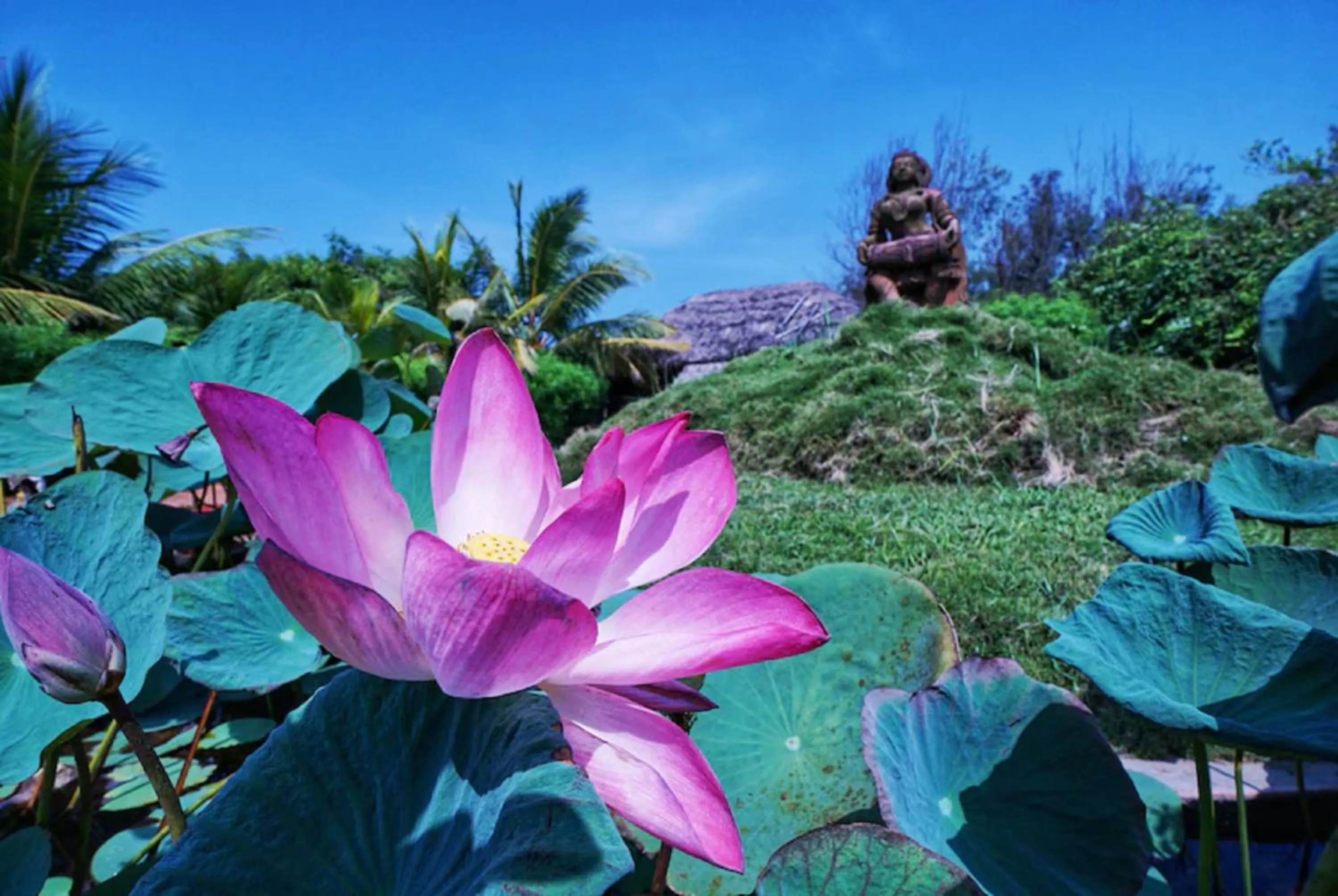 Other in Lotus an Eco Resort Konark