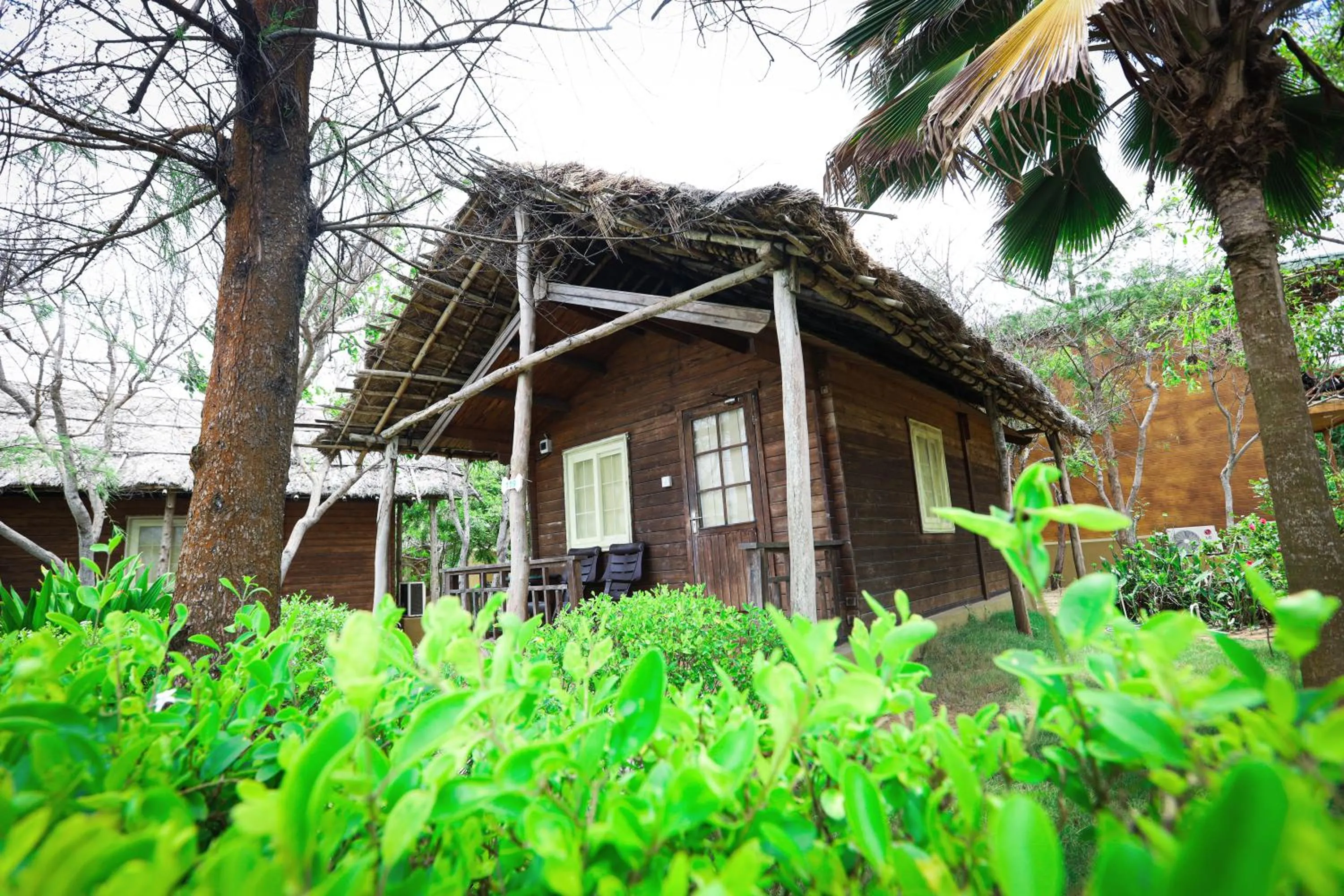 Property building in Lotus an Eco Resort Konark