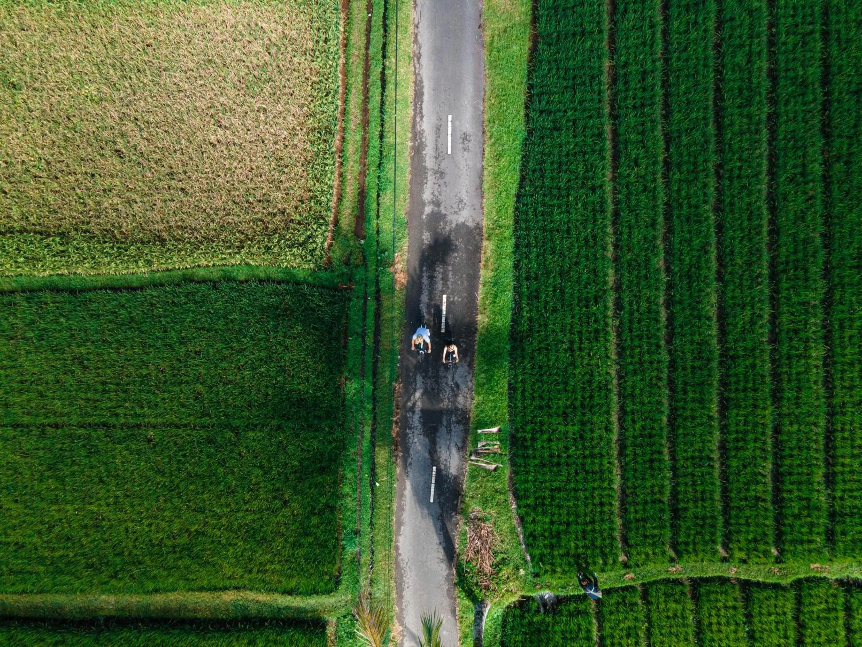 Spring in Uma Linggah Resort by Puri Signatures