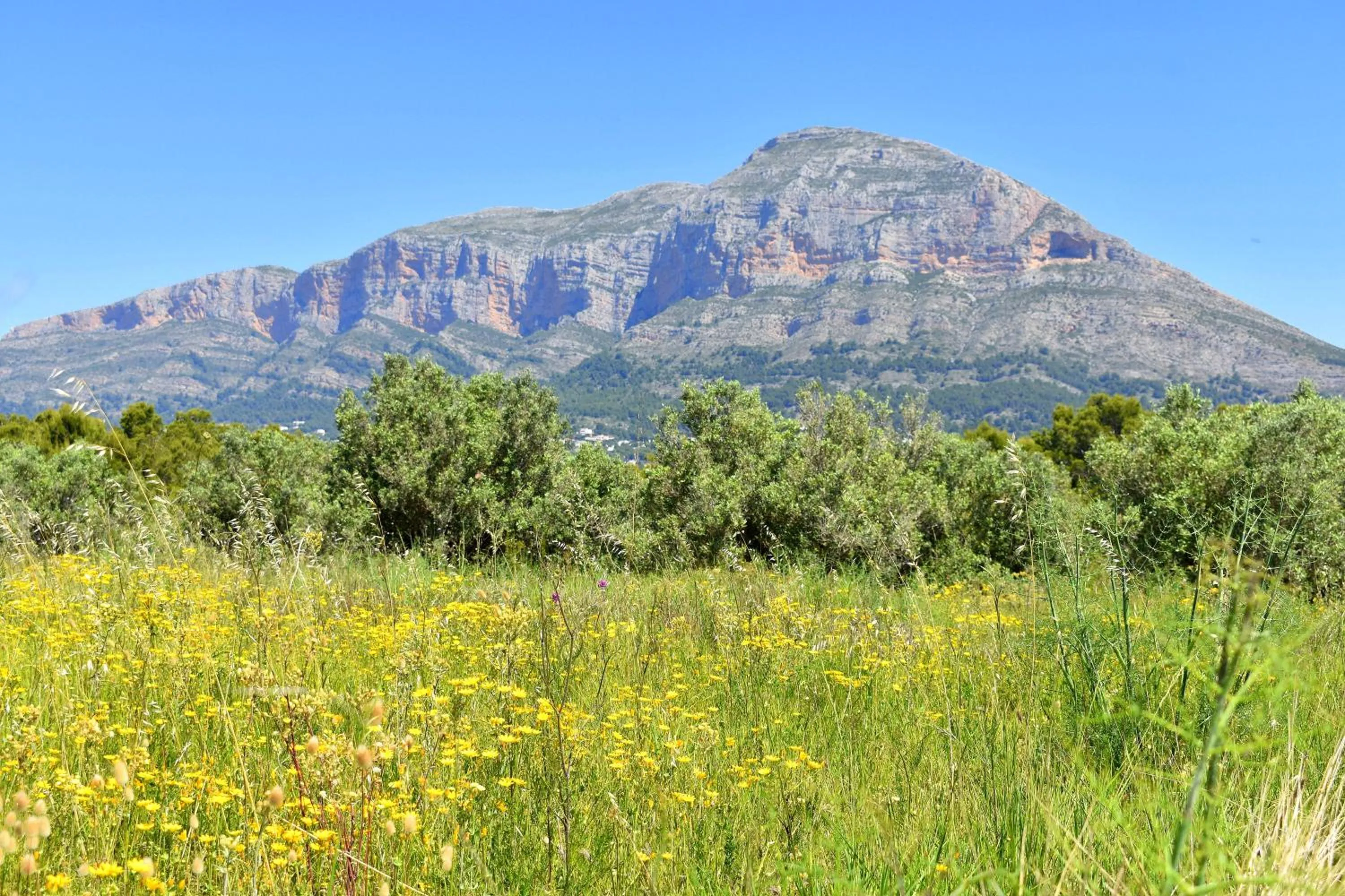 Natural landscape in Apartamento Golden Gardens