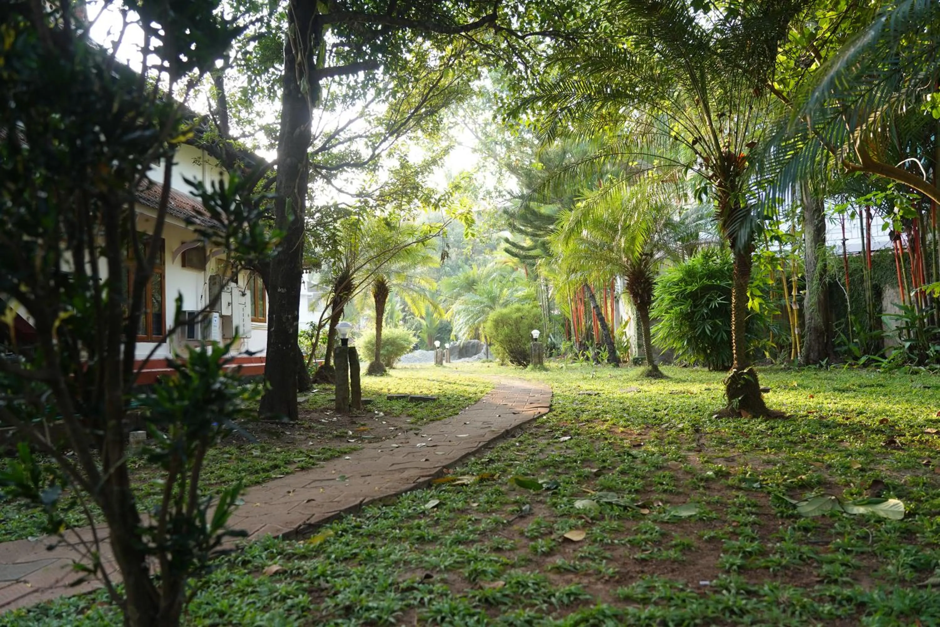 Garden in Alfred Place