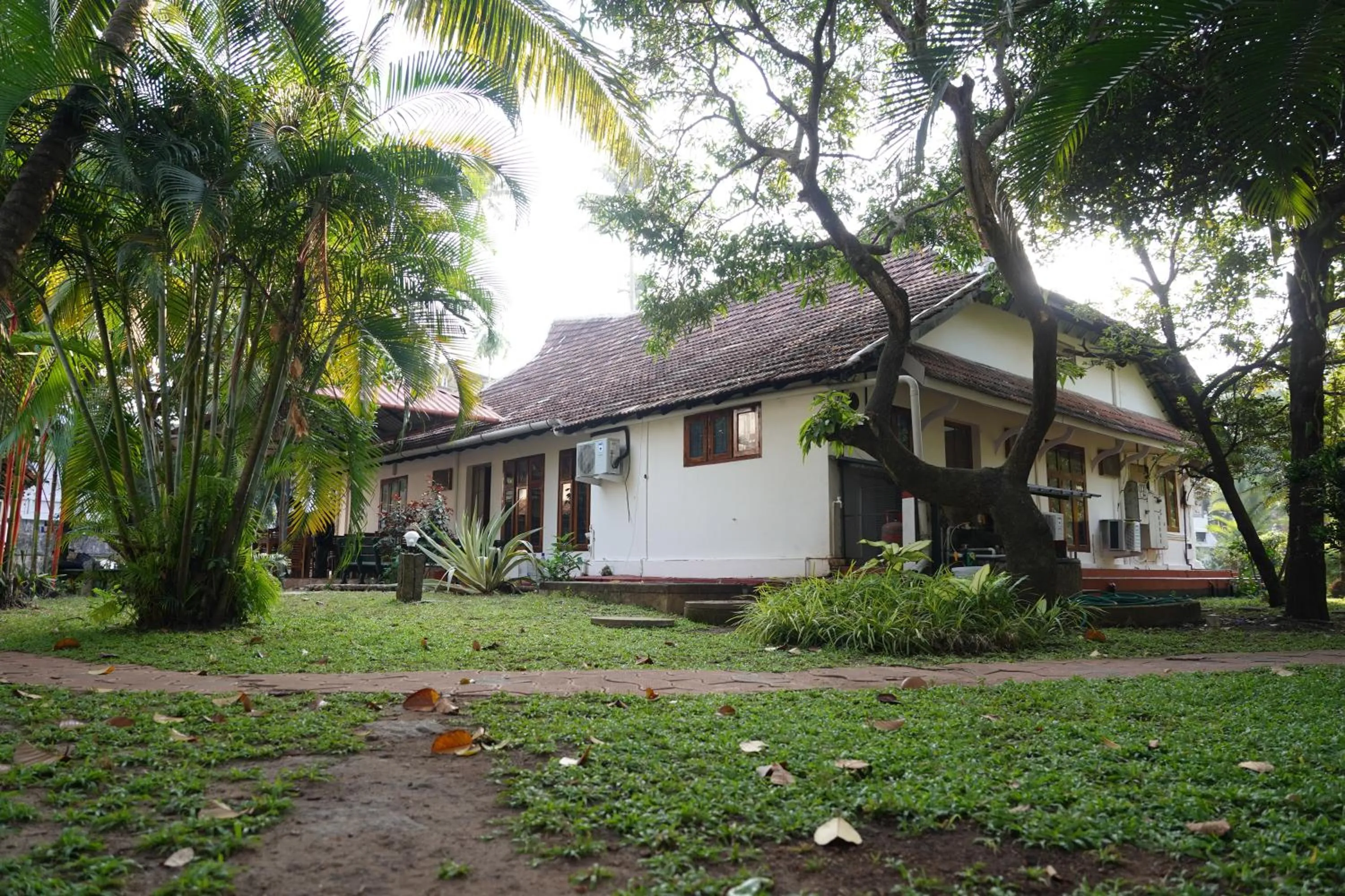 Property building in Alfred Place