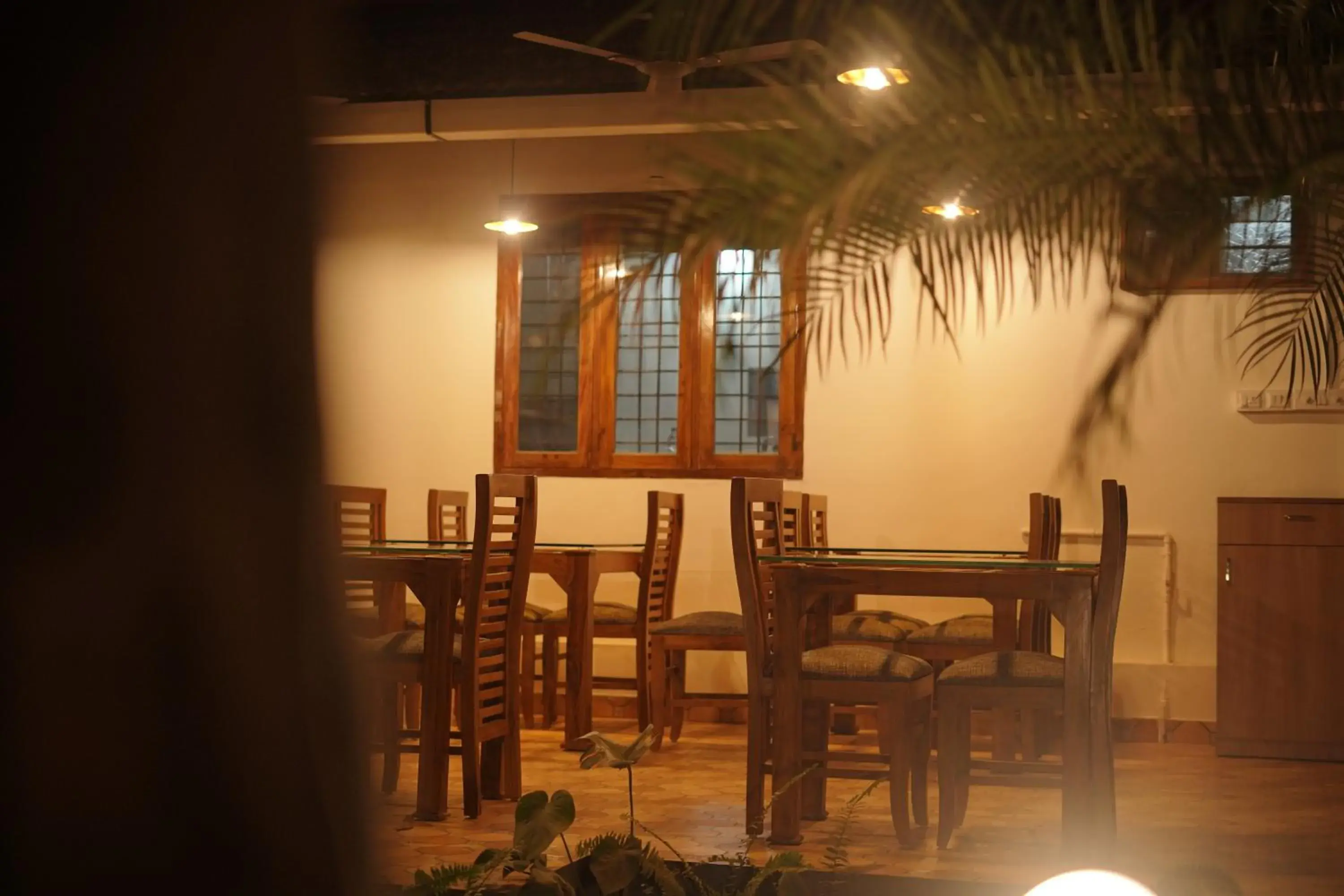 Restaurant/places to eat in Alfred Place Restaurant/places to eat in Alfred Place