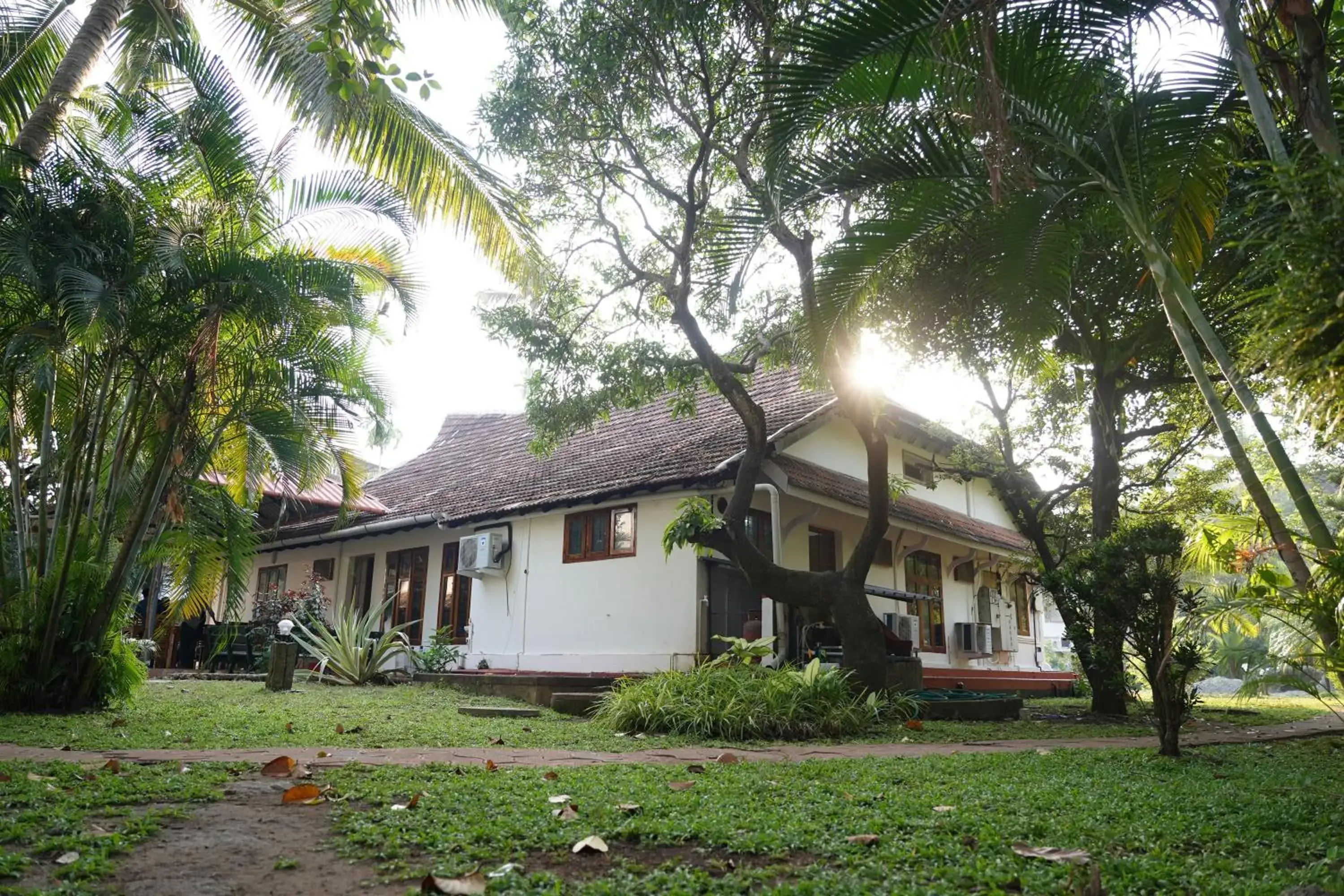 View (from property/room) in Alfred Place View (from property/room) in Alfred Place