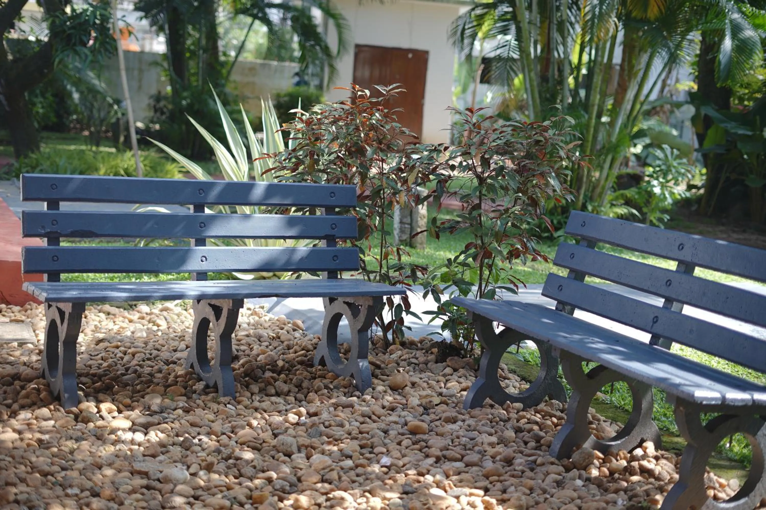 Area and facilities in Alfred Place