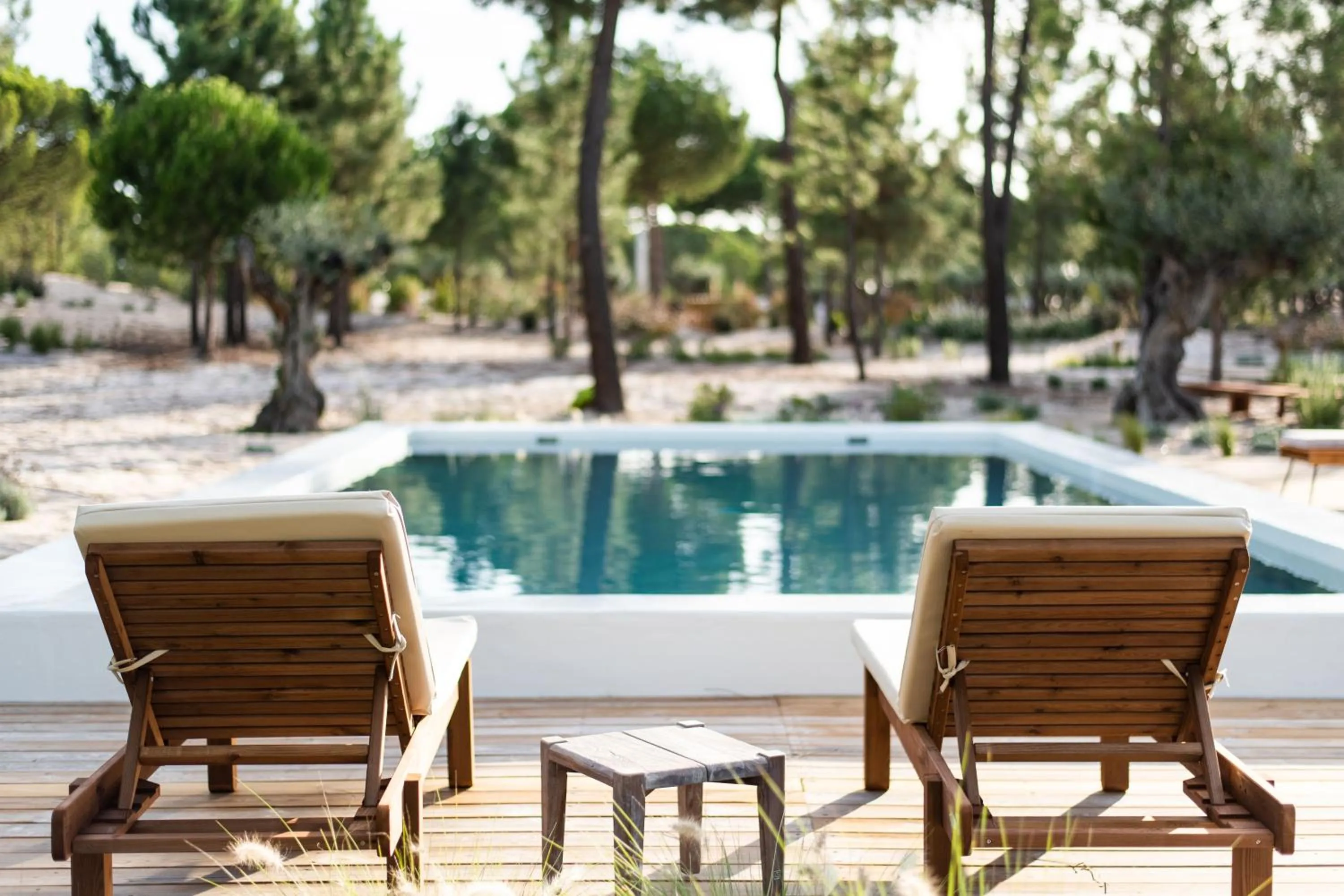 Swimming pool in Independente Comporta