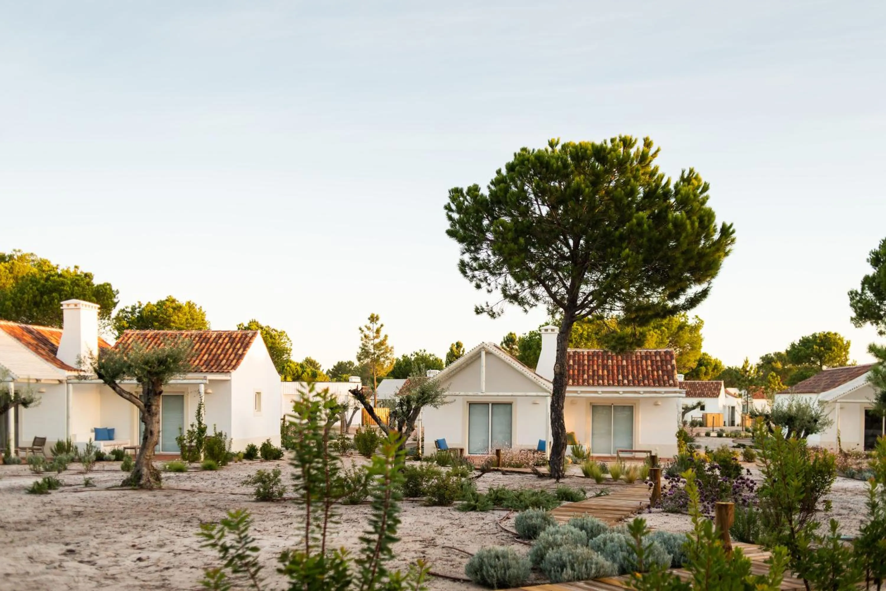 Property building in Independente Comporta