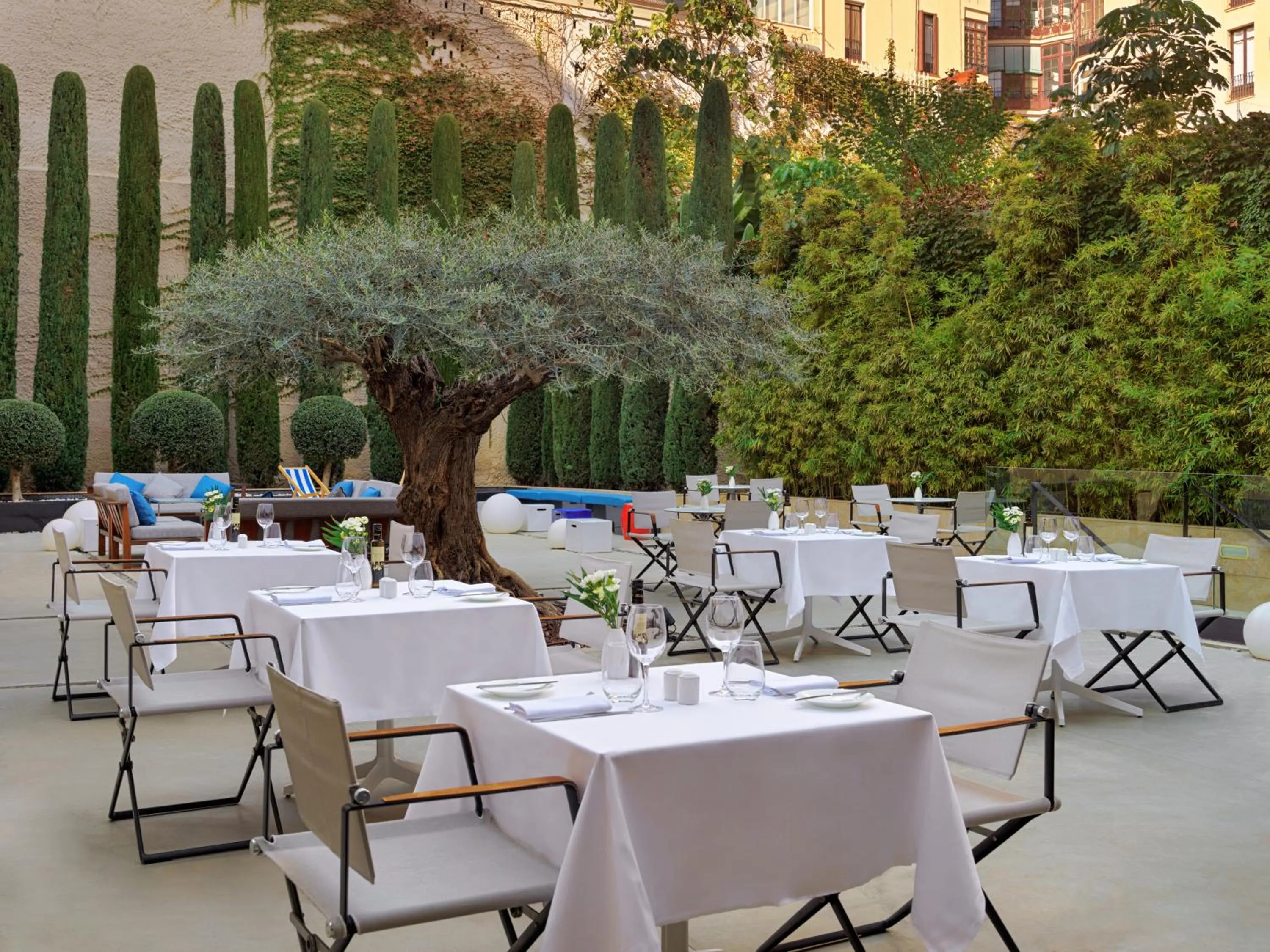 Restaurant/places to eat in H10 Art Gallery 4* Sup