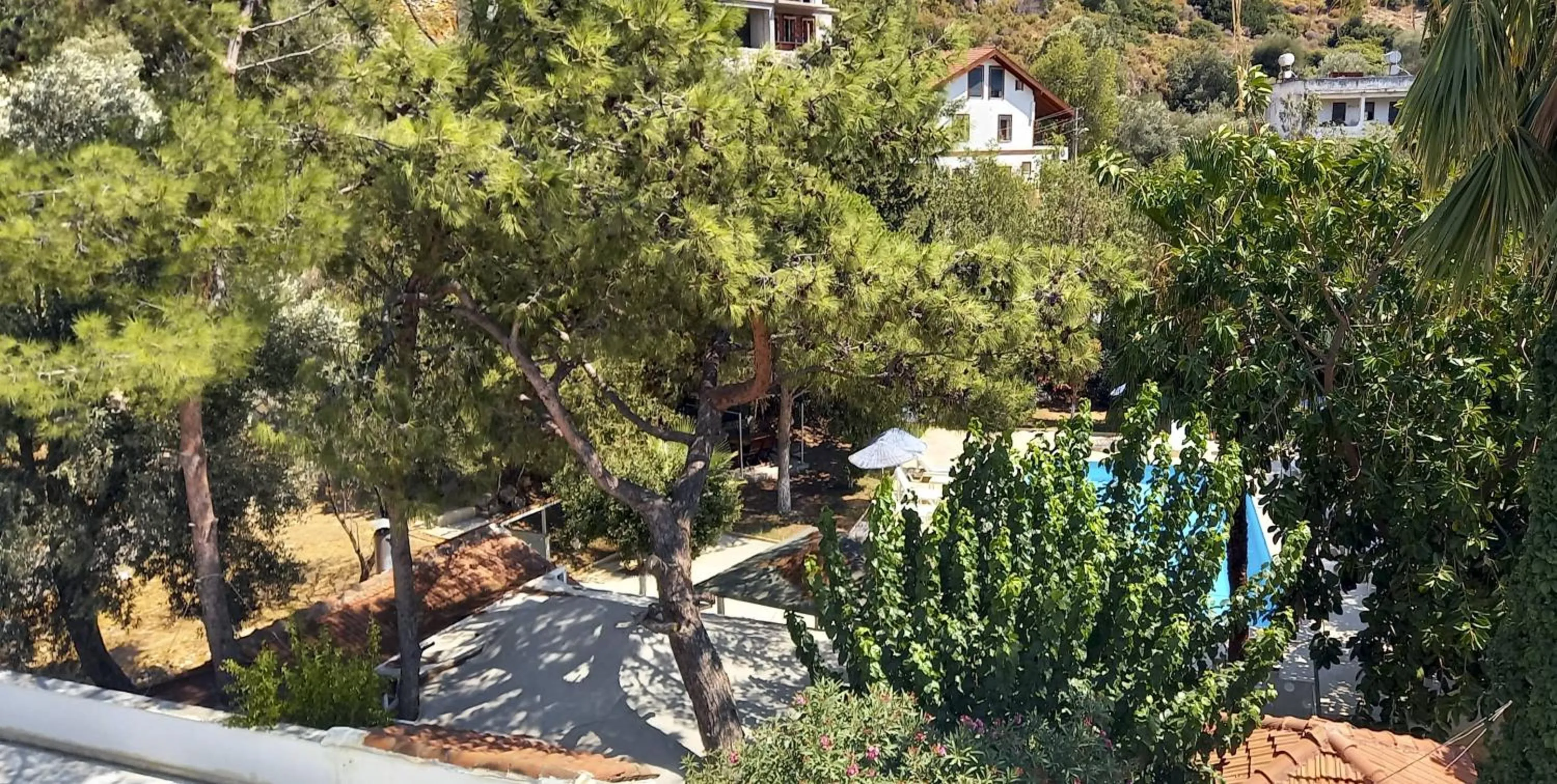 Natural landscape in Hotel Tropicana