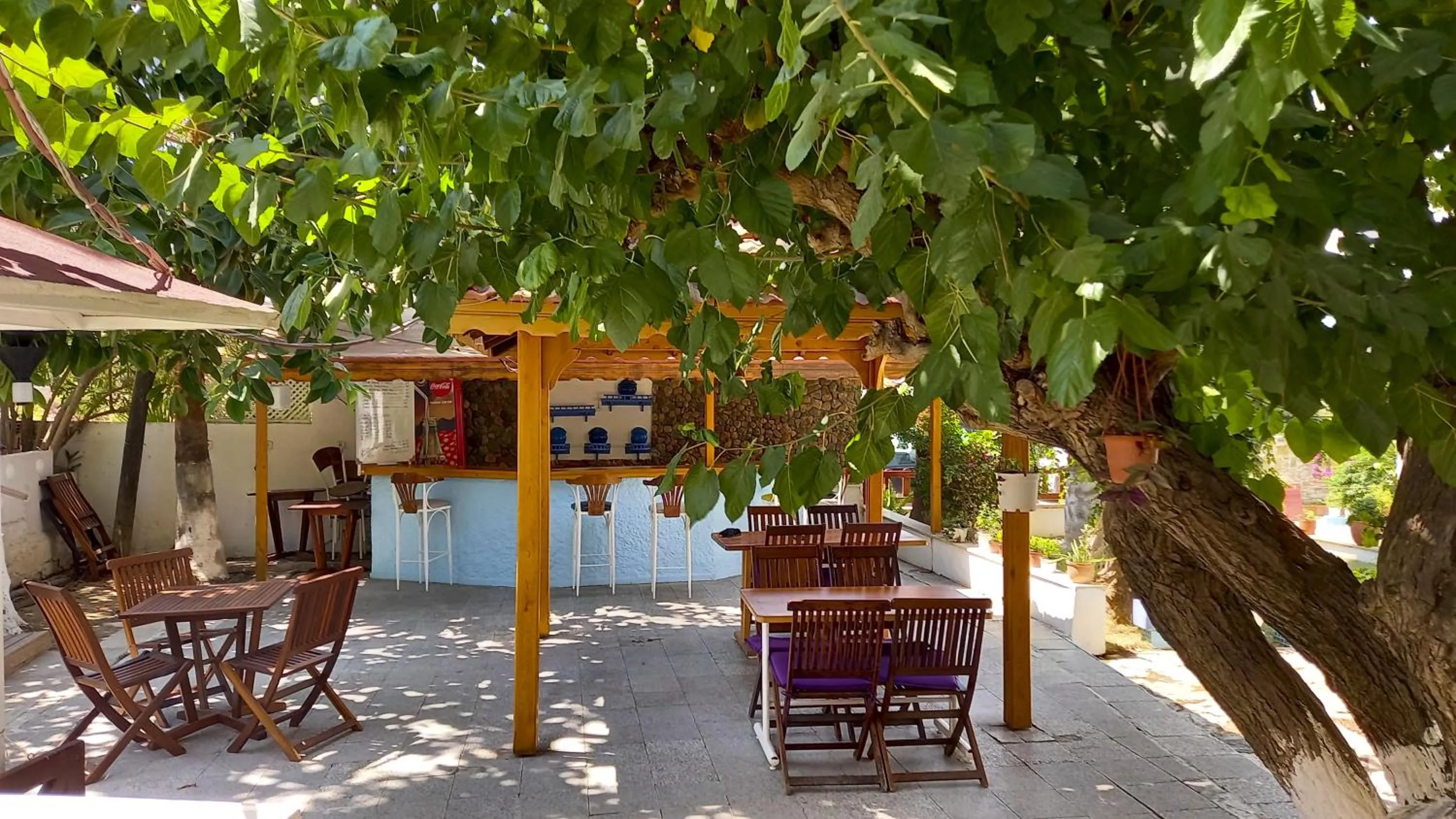 Lounge or bar in Hotel Tropicana