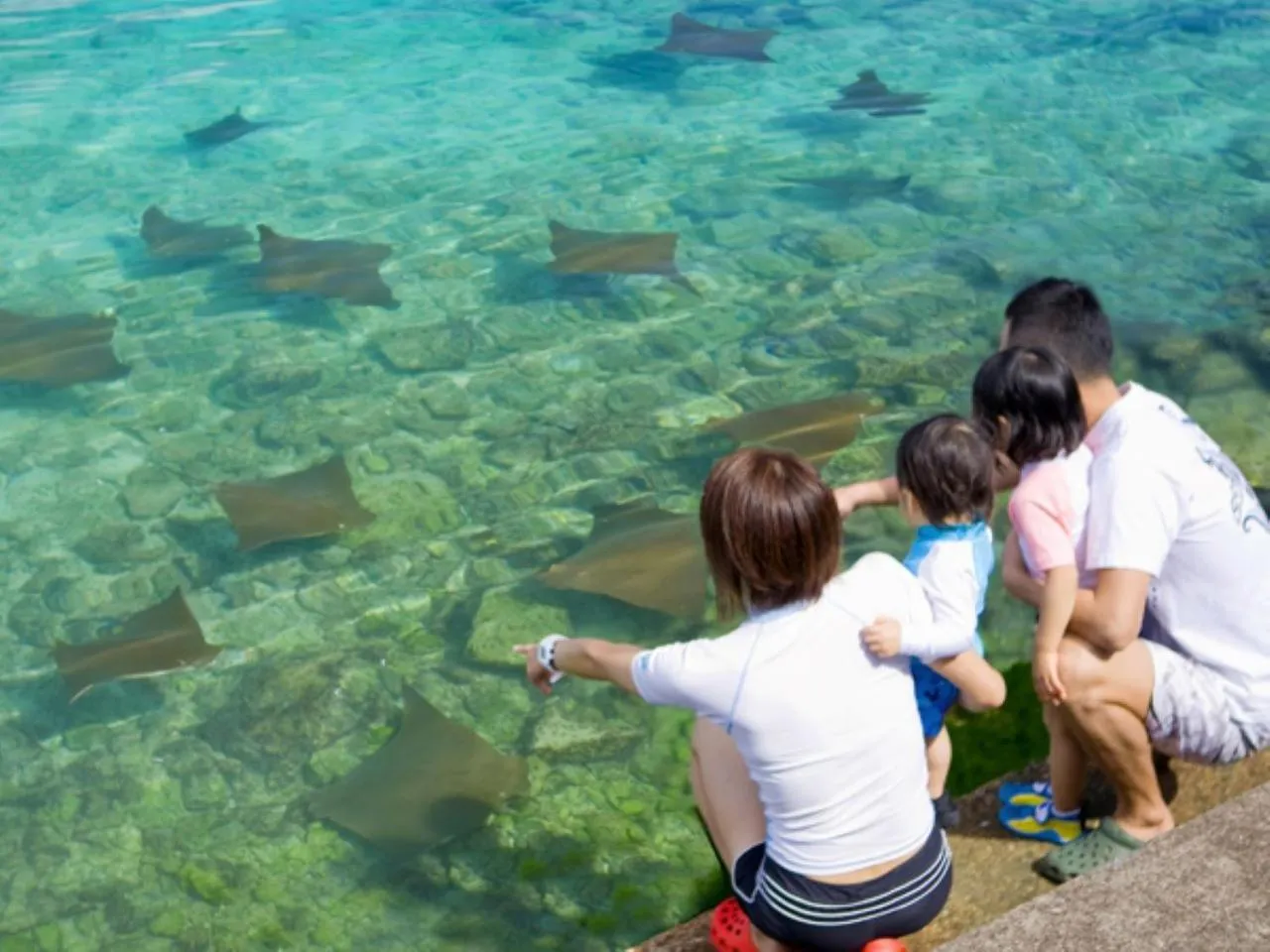 Activities in Renaissance Okinawa Resort