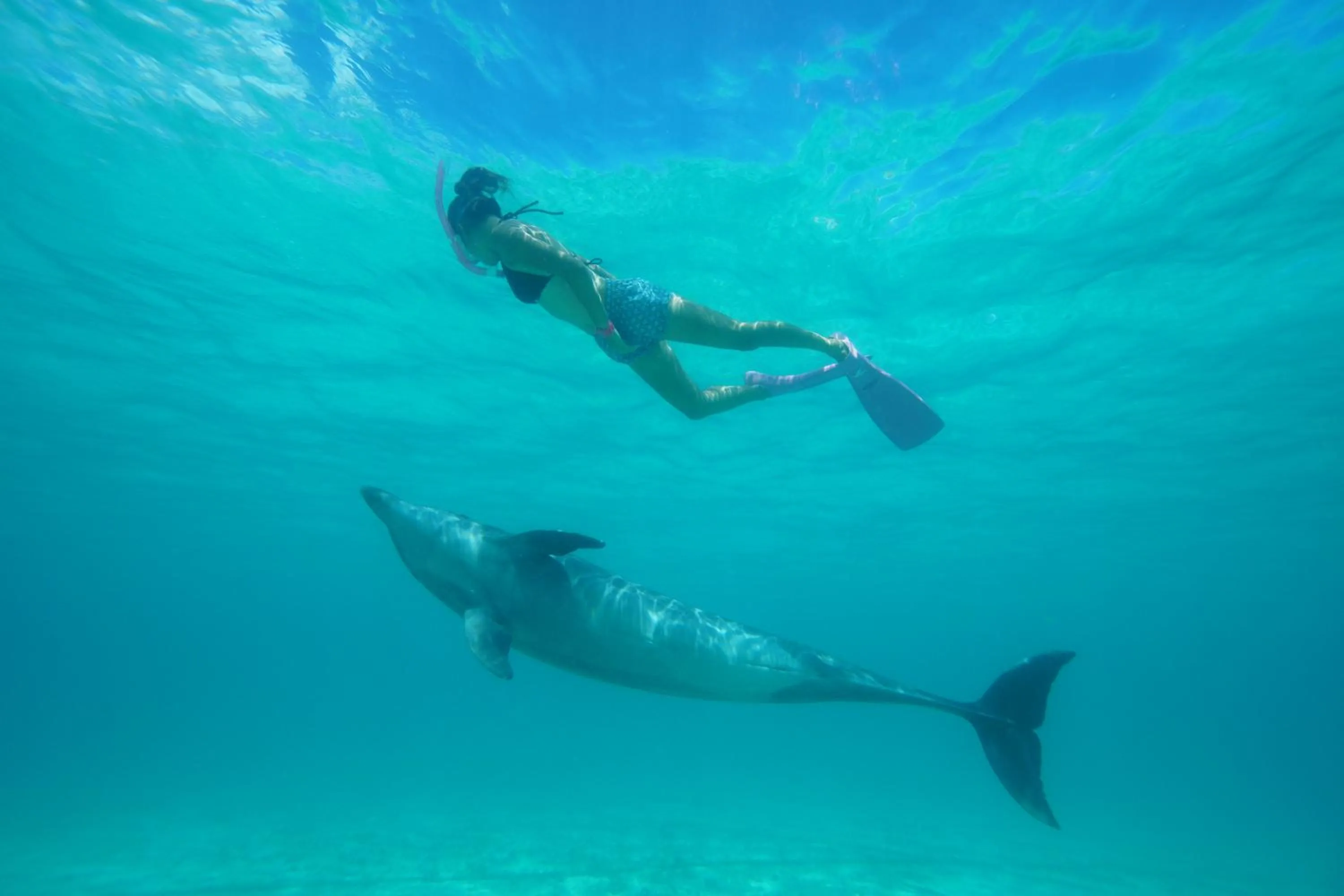 Activities in Renaissance Okinawa Resort