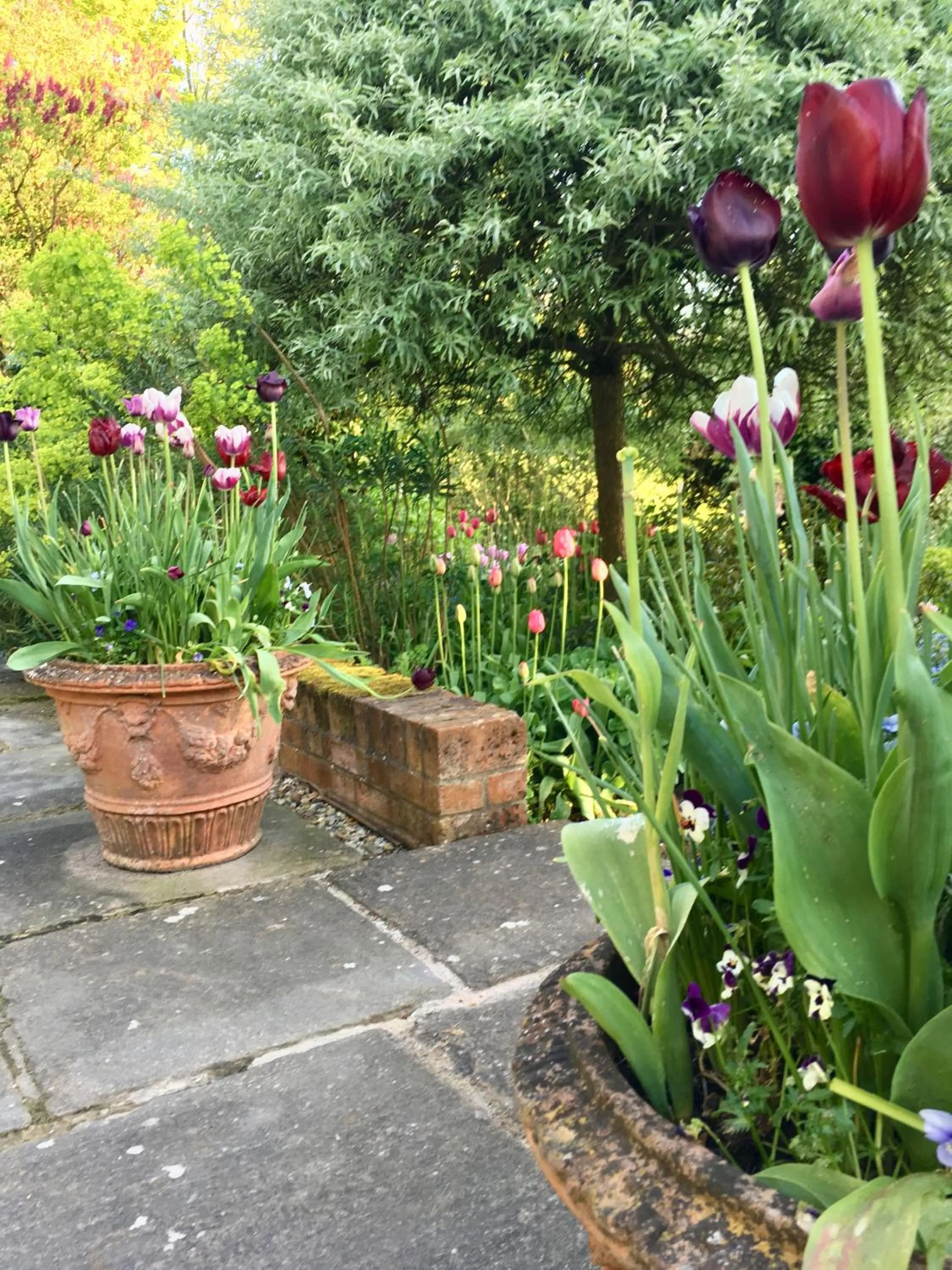Garden in The Old Rectory, Kettlebaston