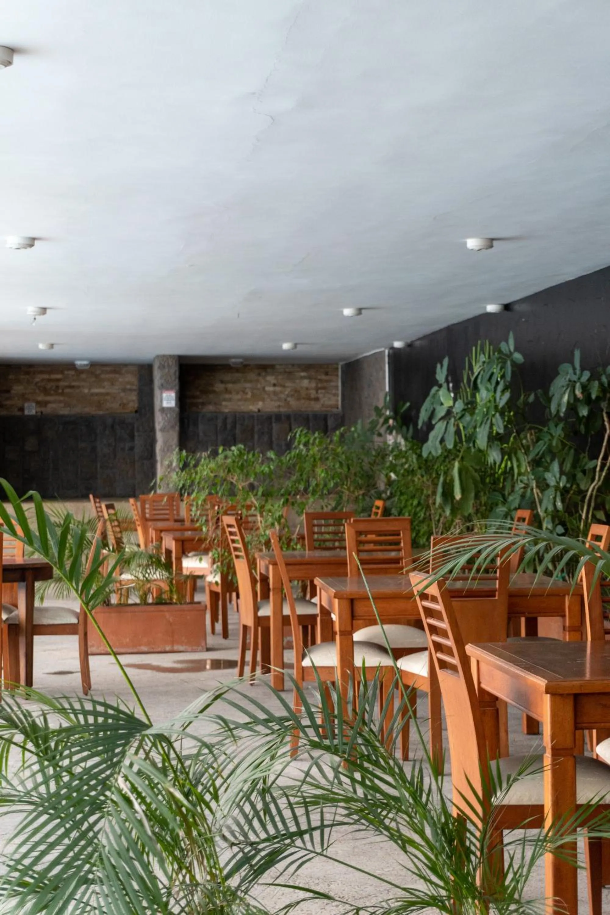 Restaurant/places to eat in Chaupimundo Lodge