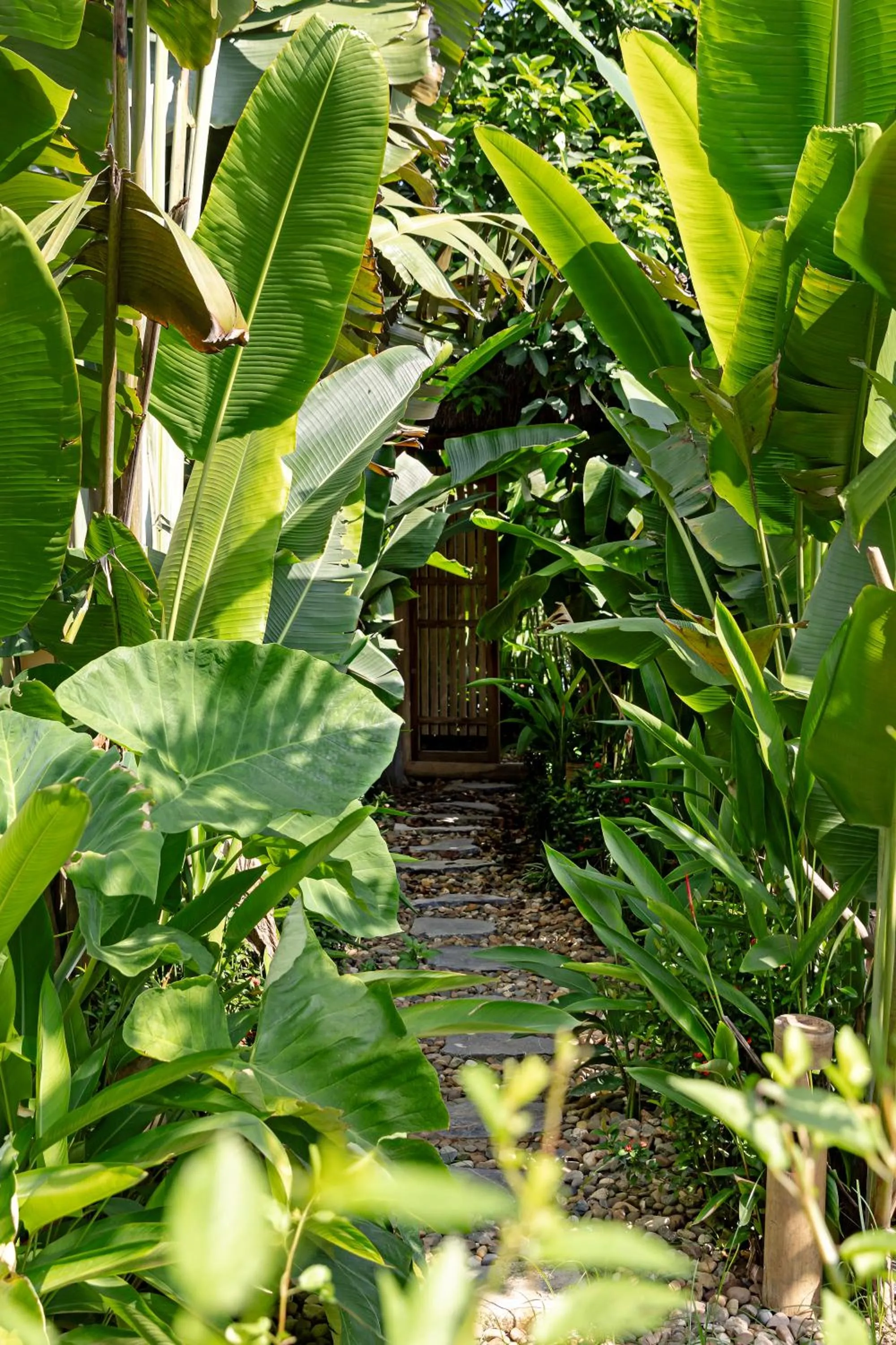 Garden in Tam Coc Retreat Ninh Binh