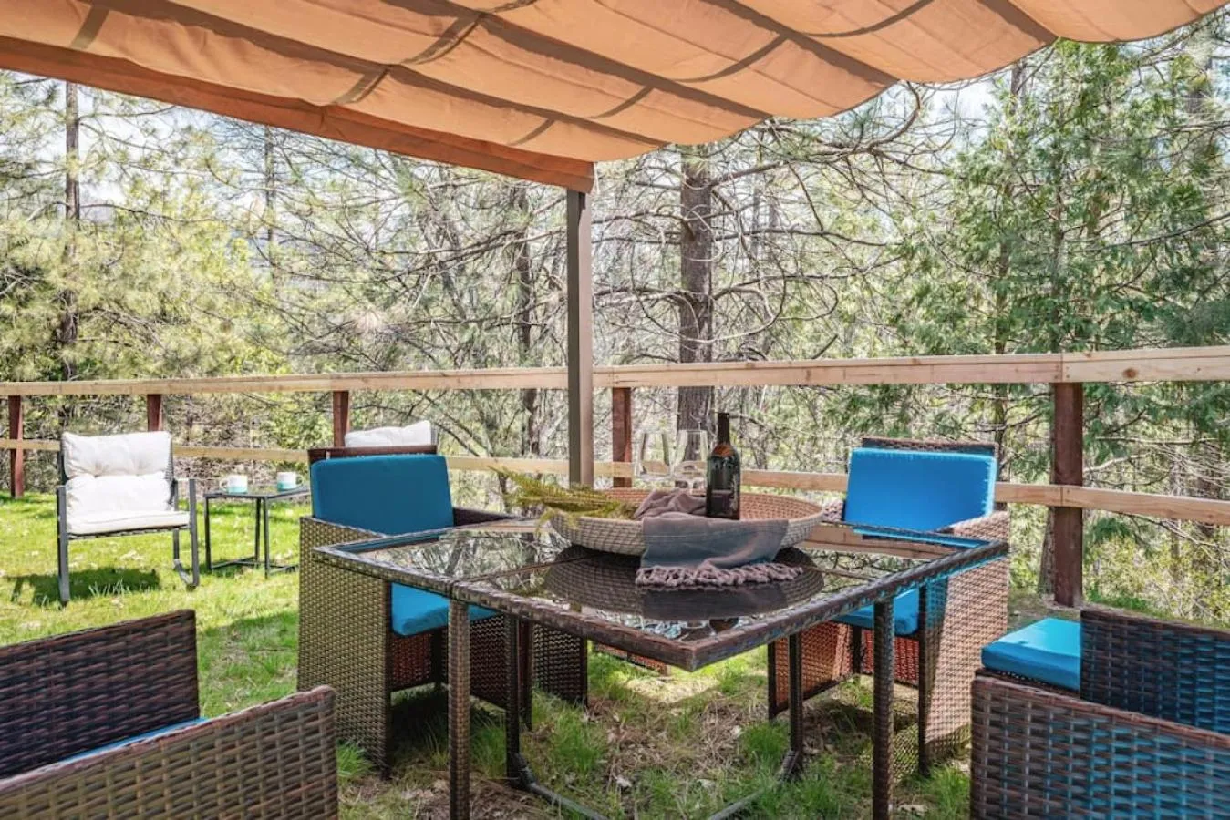 Garden in Manic Mountain Forest Cabin 3 miles from Bass Lake