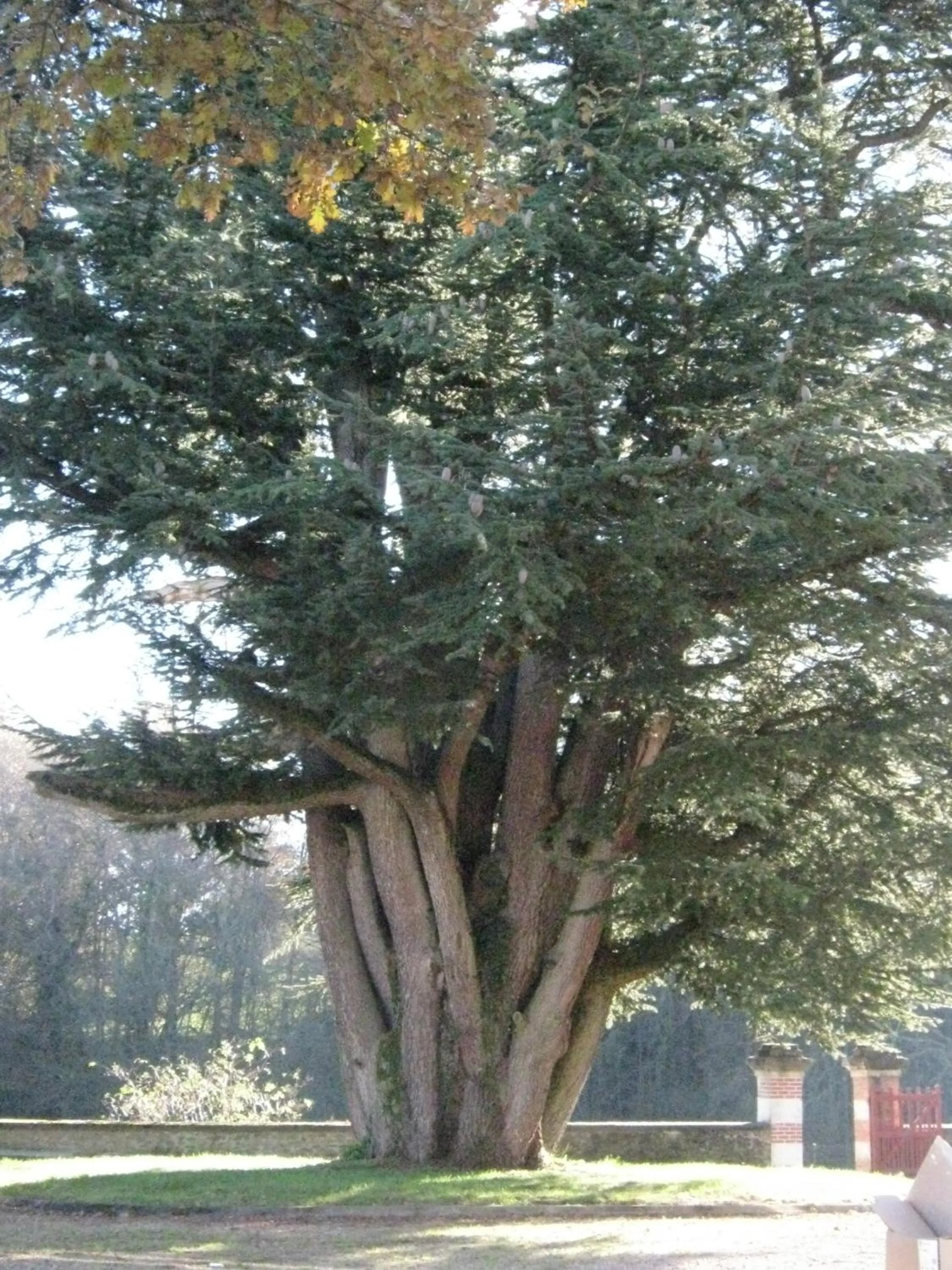 Facade/entrance in Chateau Lezat - Chambres d'Hotes