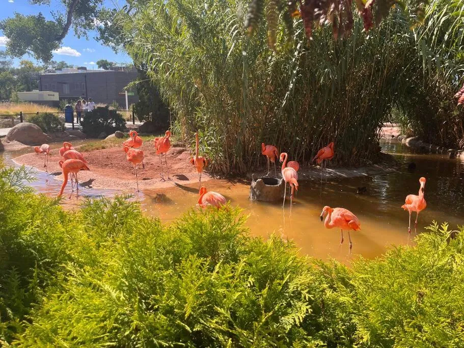 Saguaro at Cactus Flower-HOT TUB-Pet Friendly-No Pet Fees!