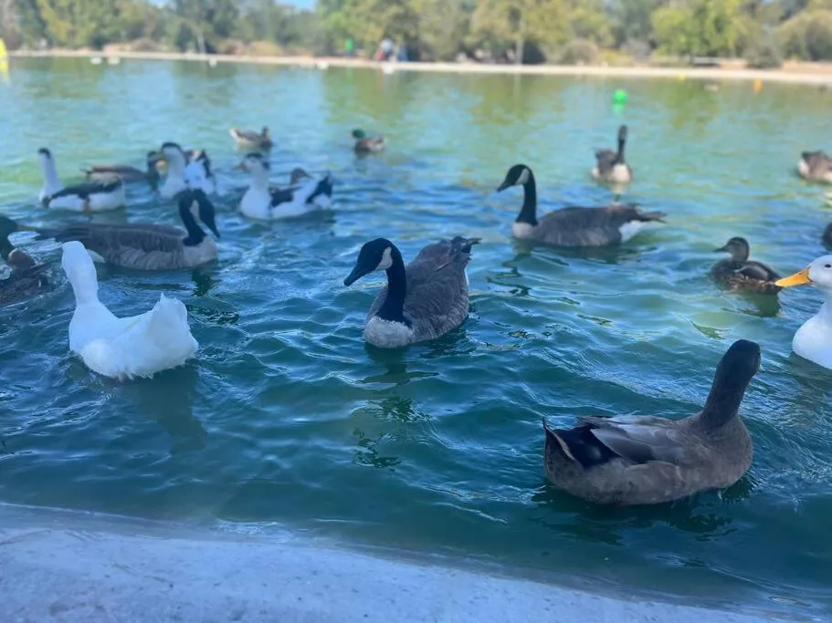 Saguaro at Cactus Flower-HOT TUB-Pet Friendly-No Pet Fees!