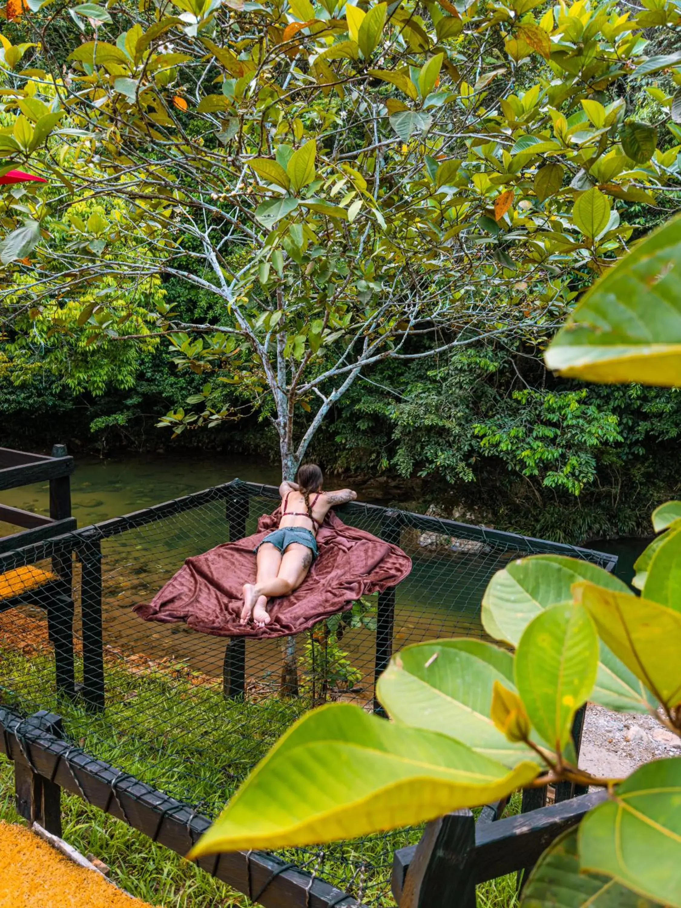 Glamping Río Claro Glamping Río Claro