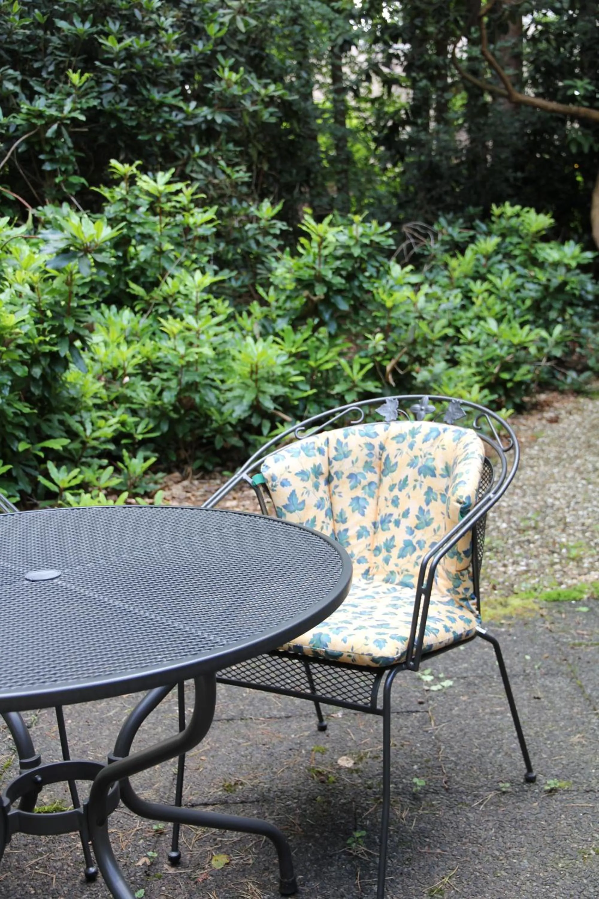 Garden in Vakantiehuis 't Musje
