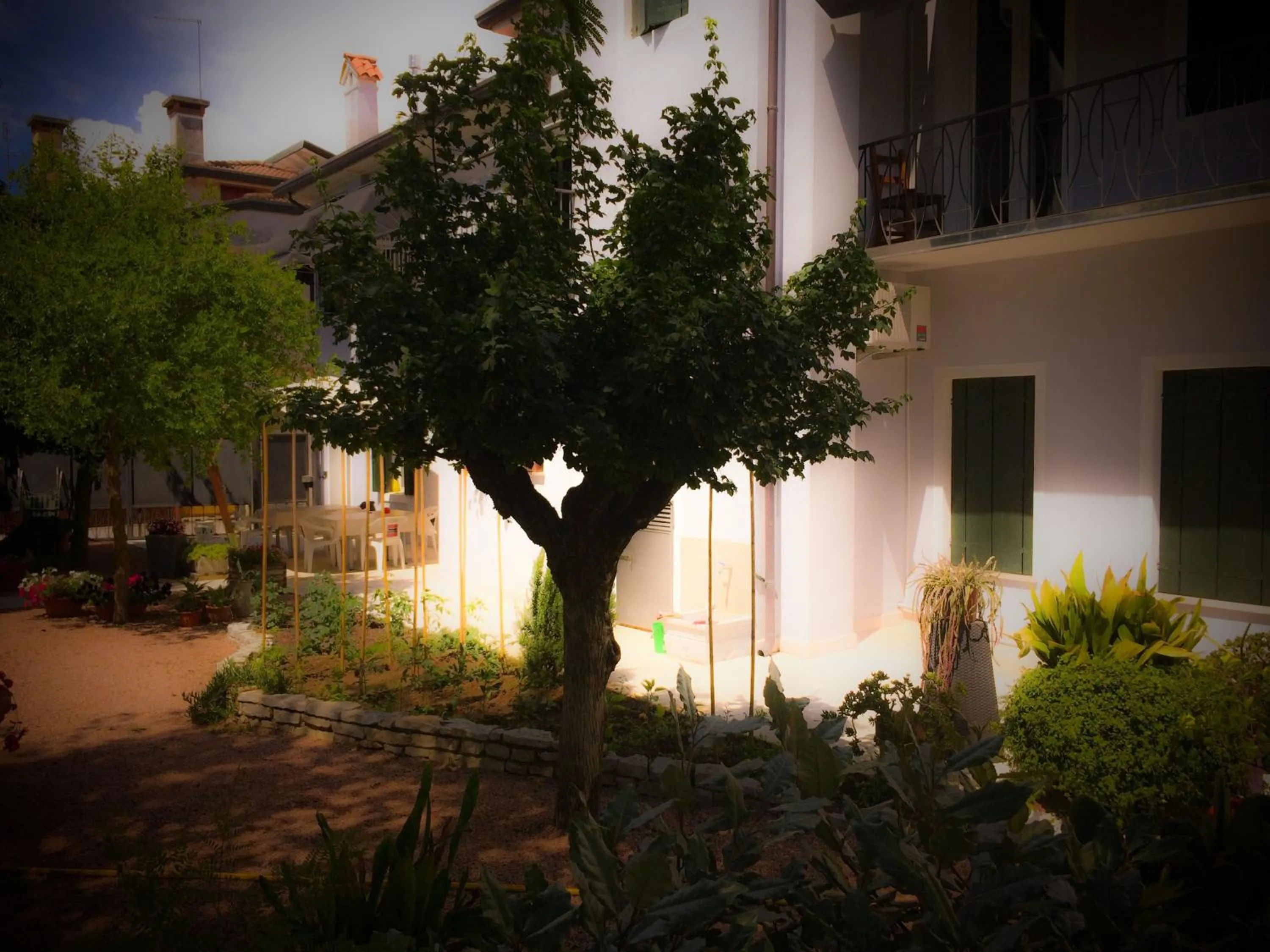 Garden in Bed & Breakfast Don Carlos