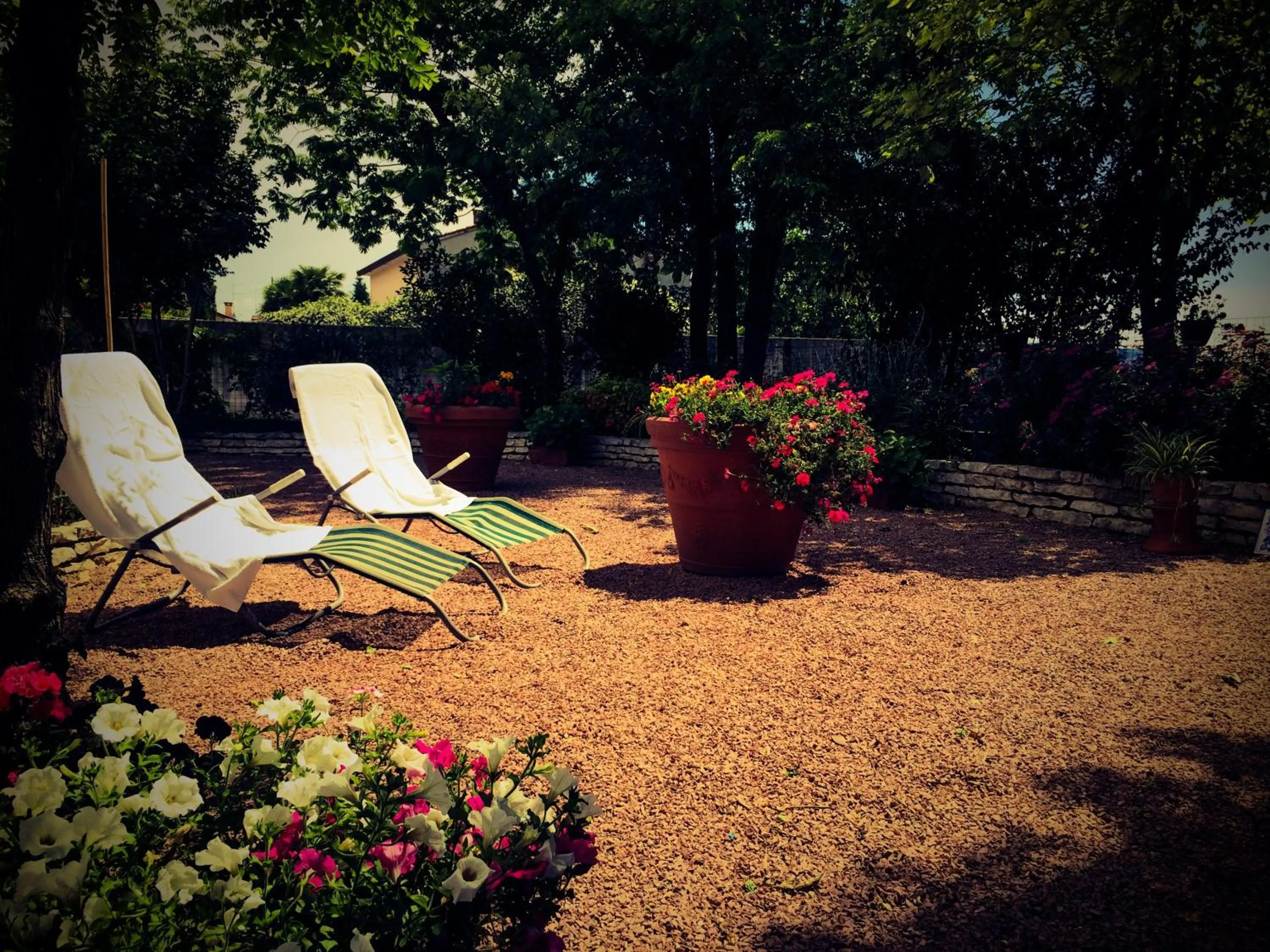 Garden in Bed & Breakfast Don Carlos