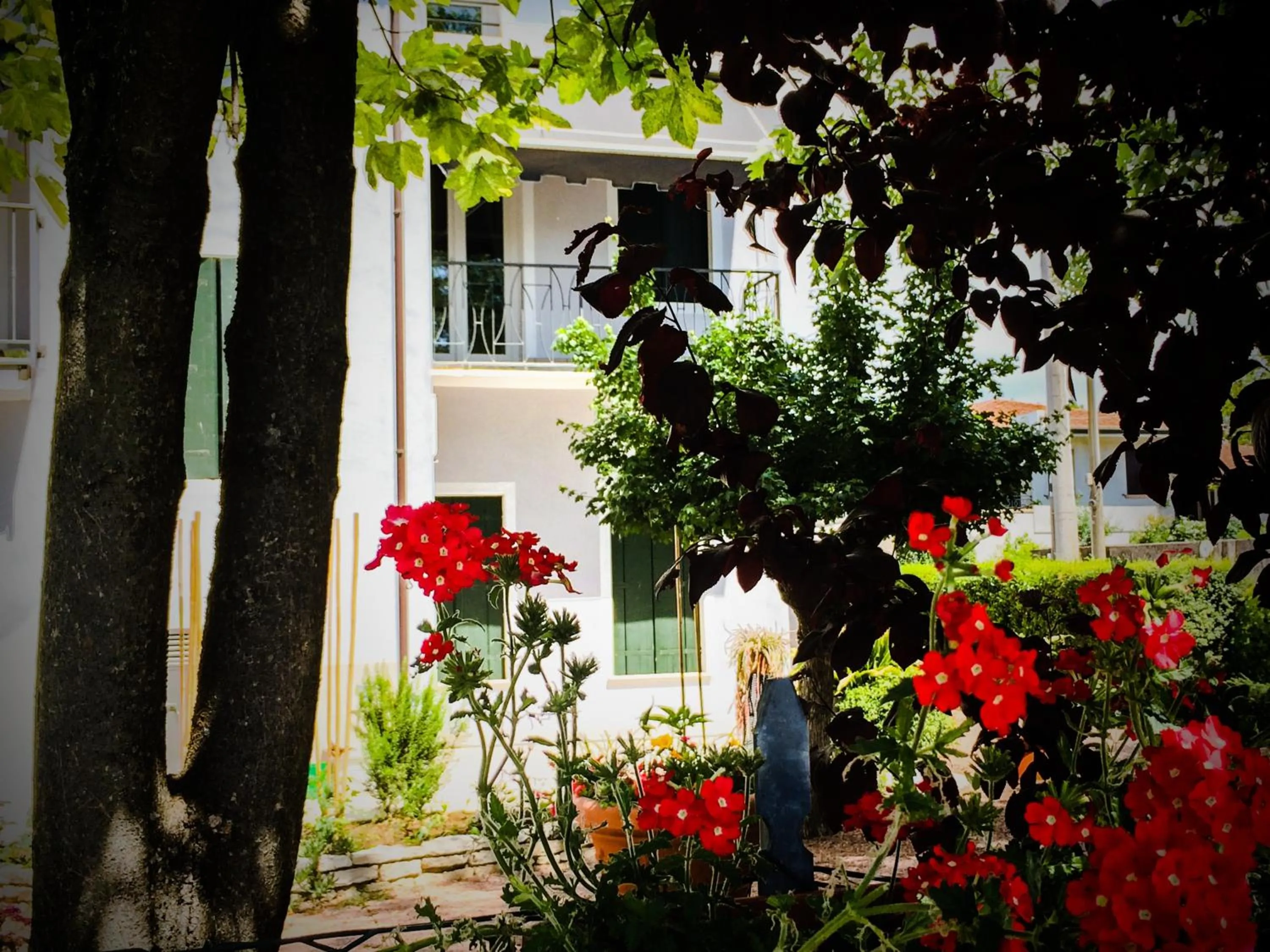 Garden in Bed & Breakfast Don Carlos