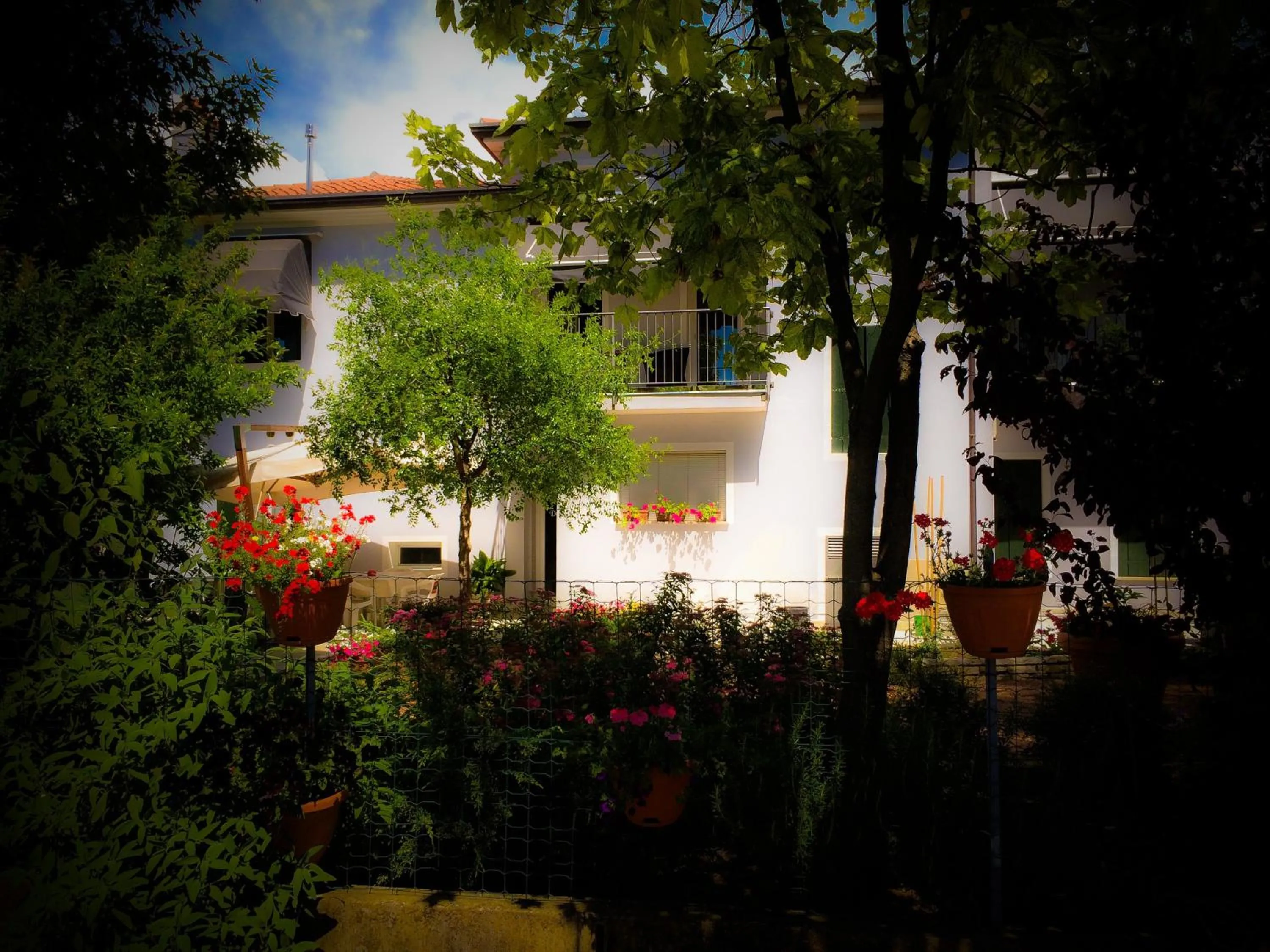 Garden in Bed & Breakfast Don Carlos