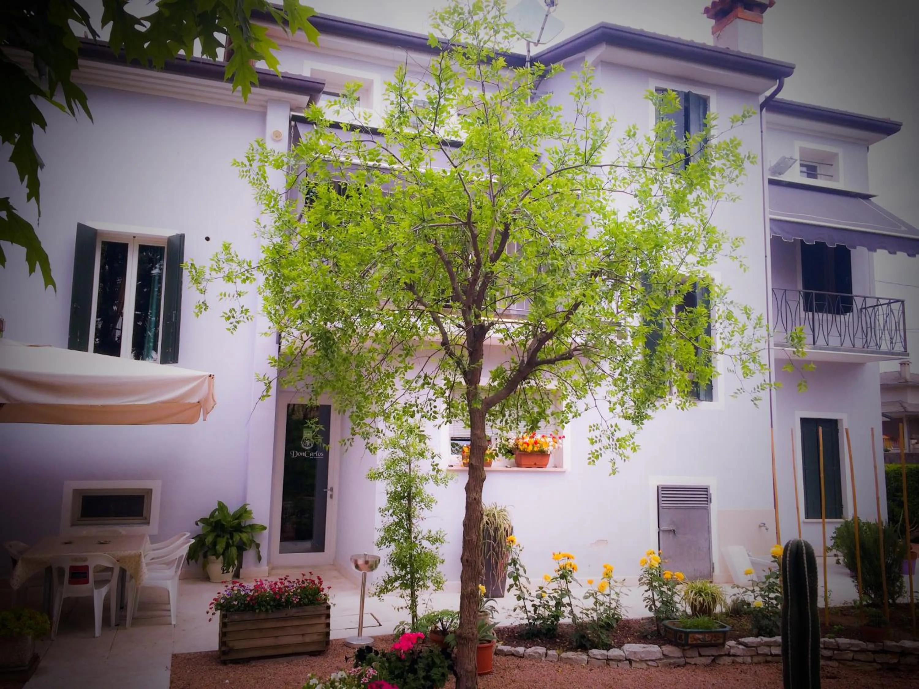 Garden in Bed & Breakfast Don Carlos