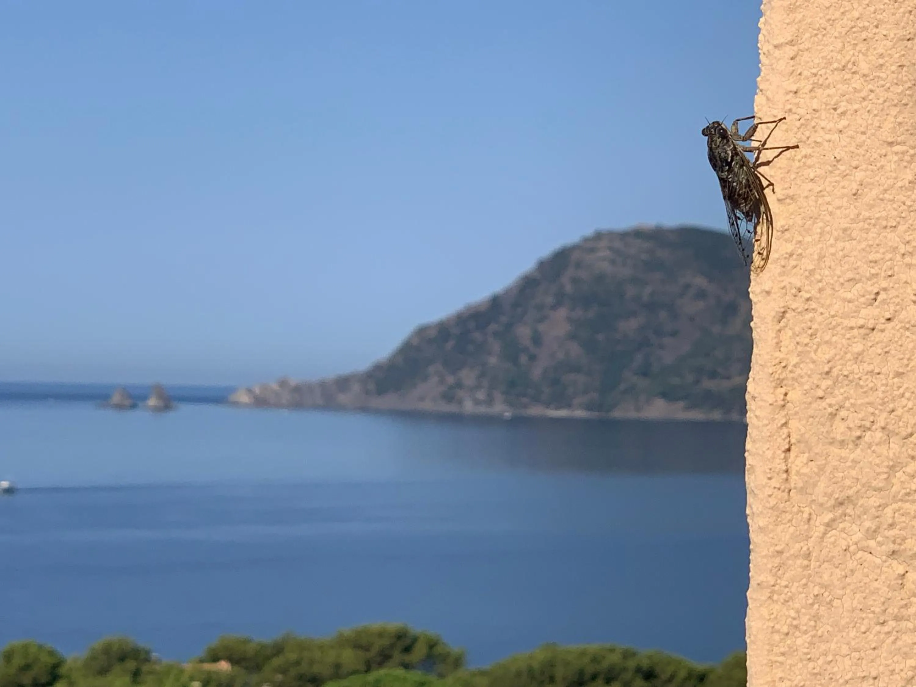 Appart vue mer panoramique magique